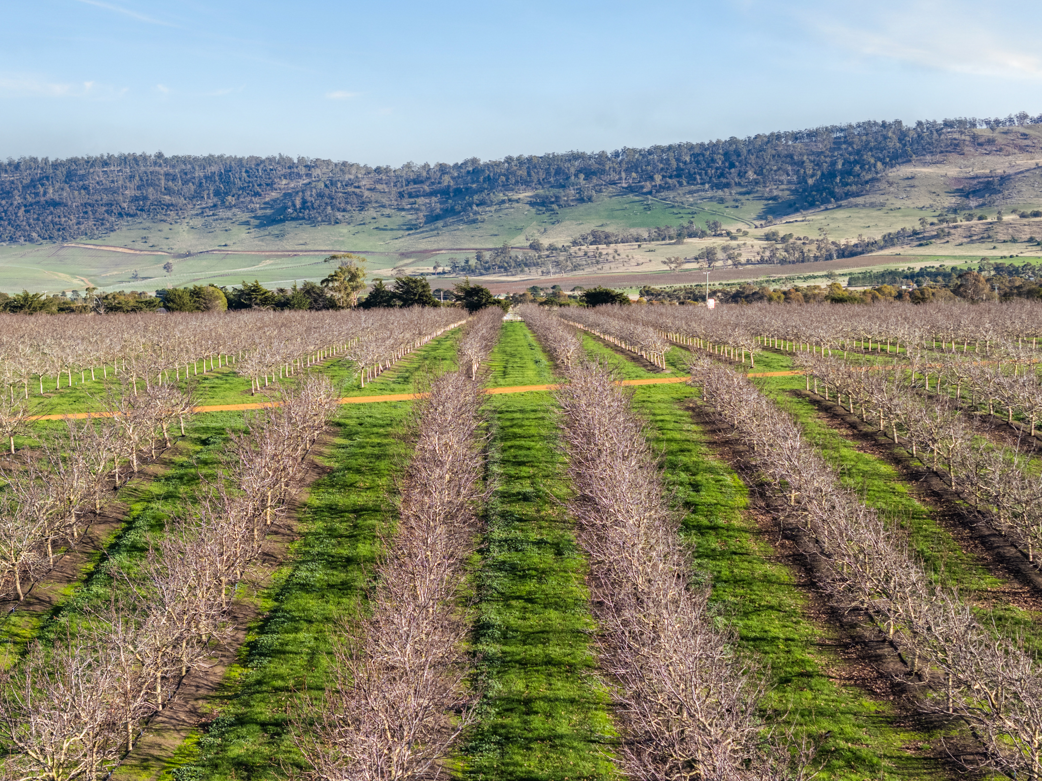 596 Colebrook Road, Campania, TAS, 7026 - Image 6