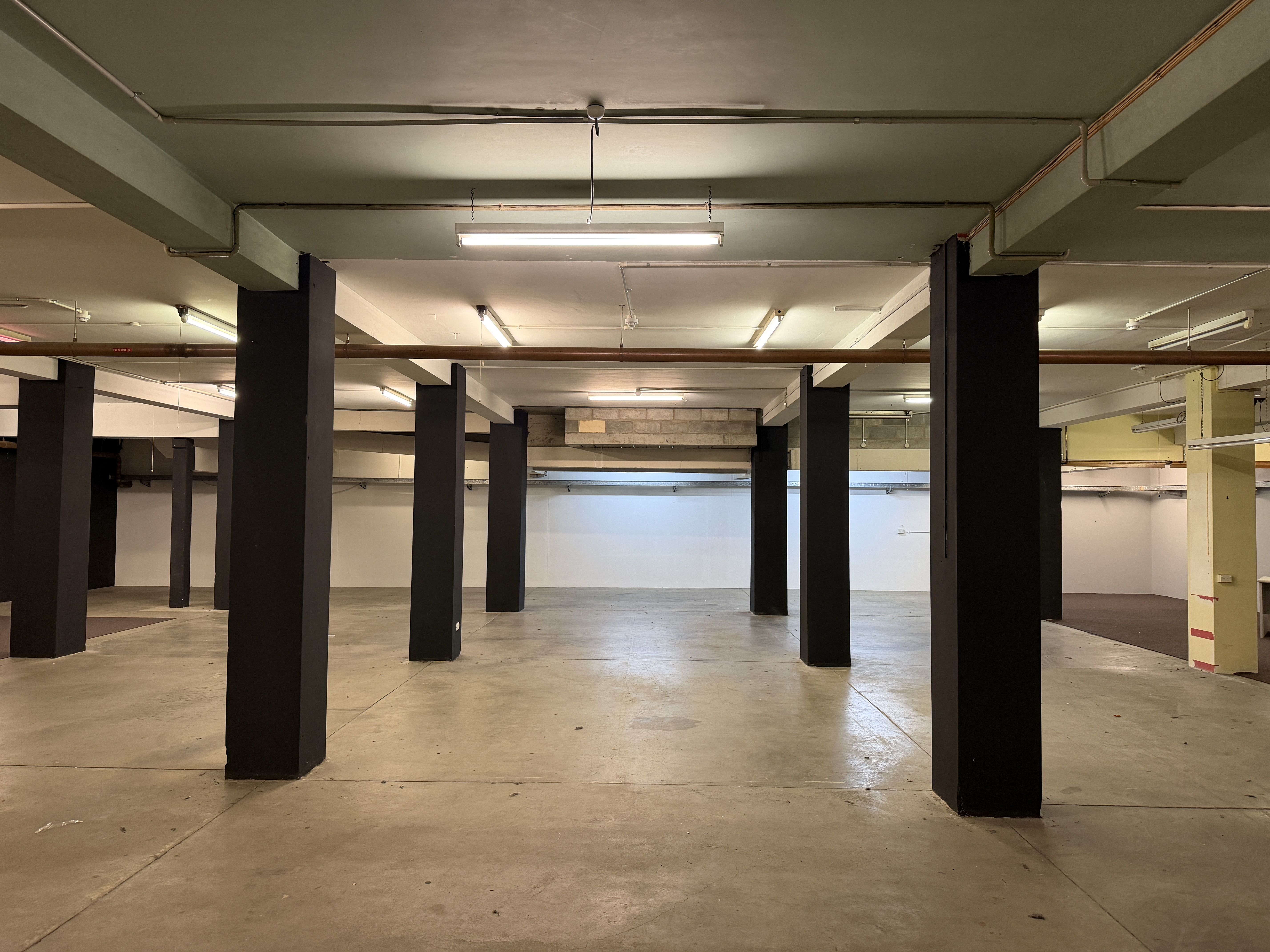 Basement/52-56 Cameron Street, Launceston, TAS, 7250 - Image 1