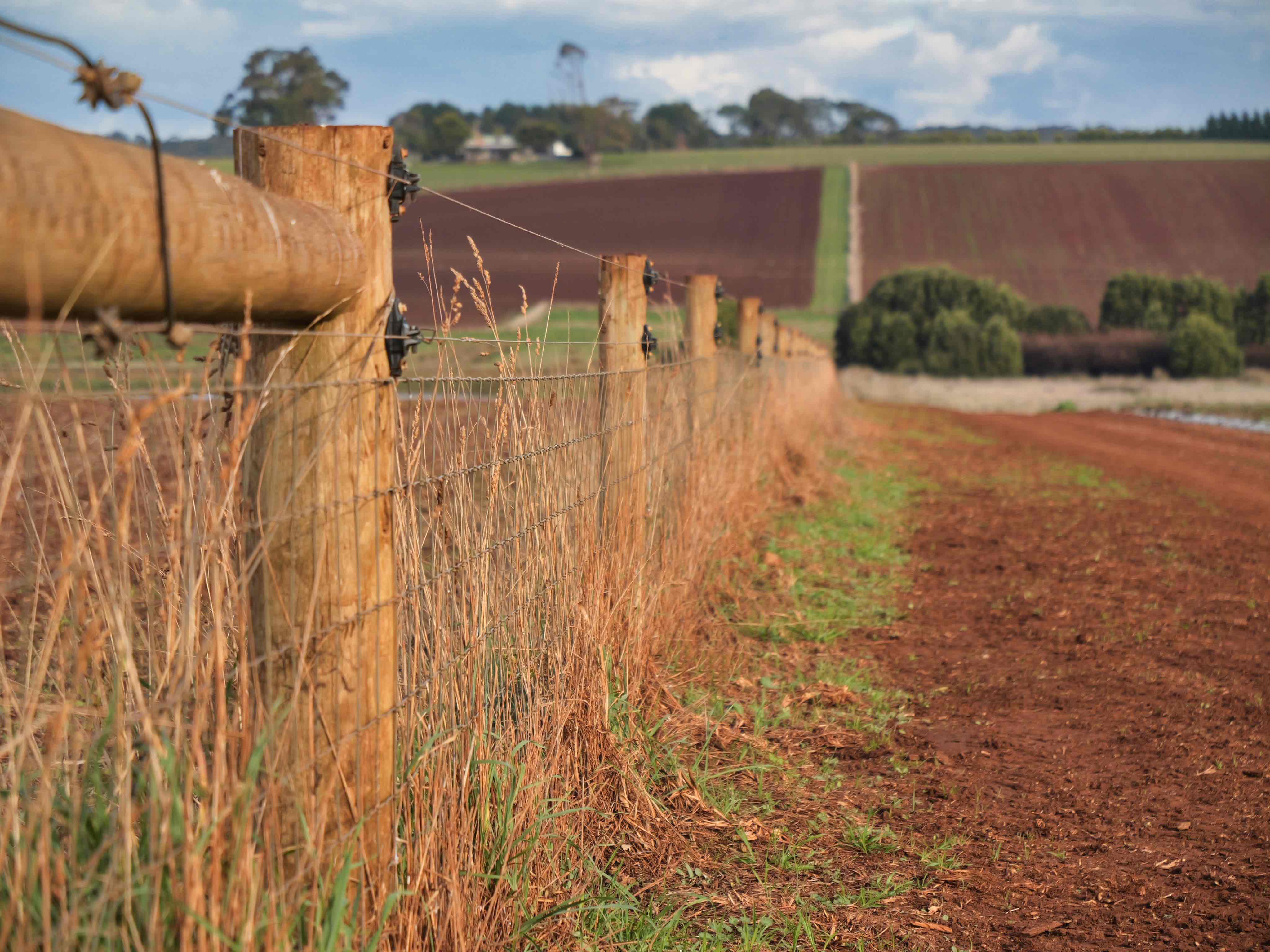 384 Port Sorrell Road, Wesley Vale, TAS, 7307 - Image 8
