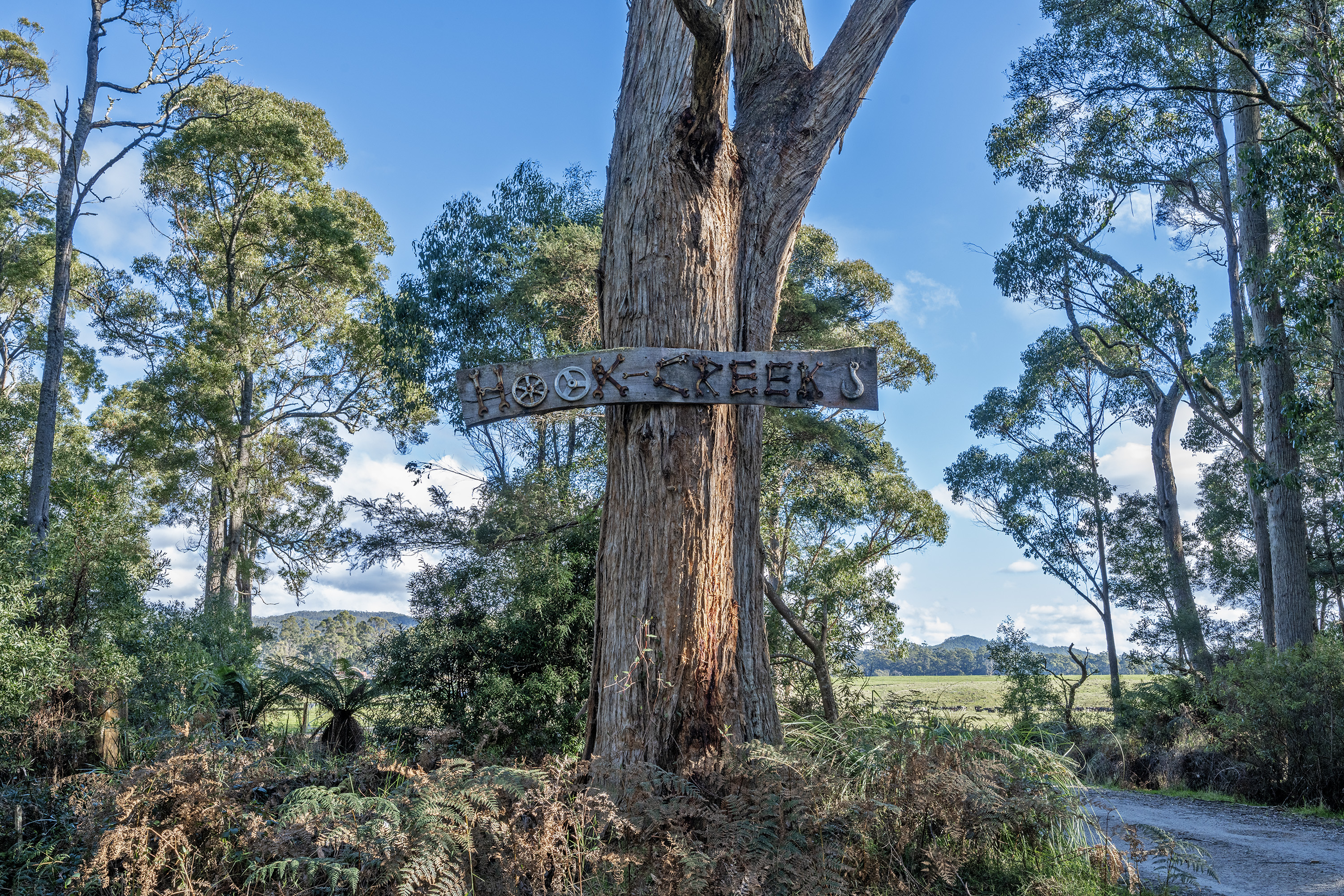300 Coopers Road, Rocky Cape, TAS, 7321 - Image 10
