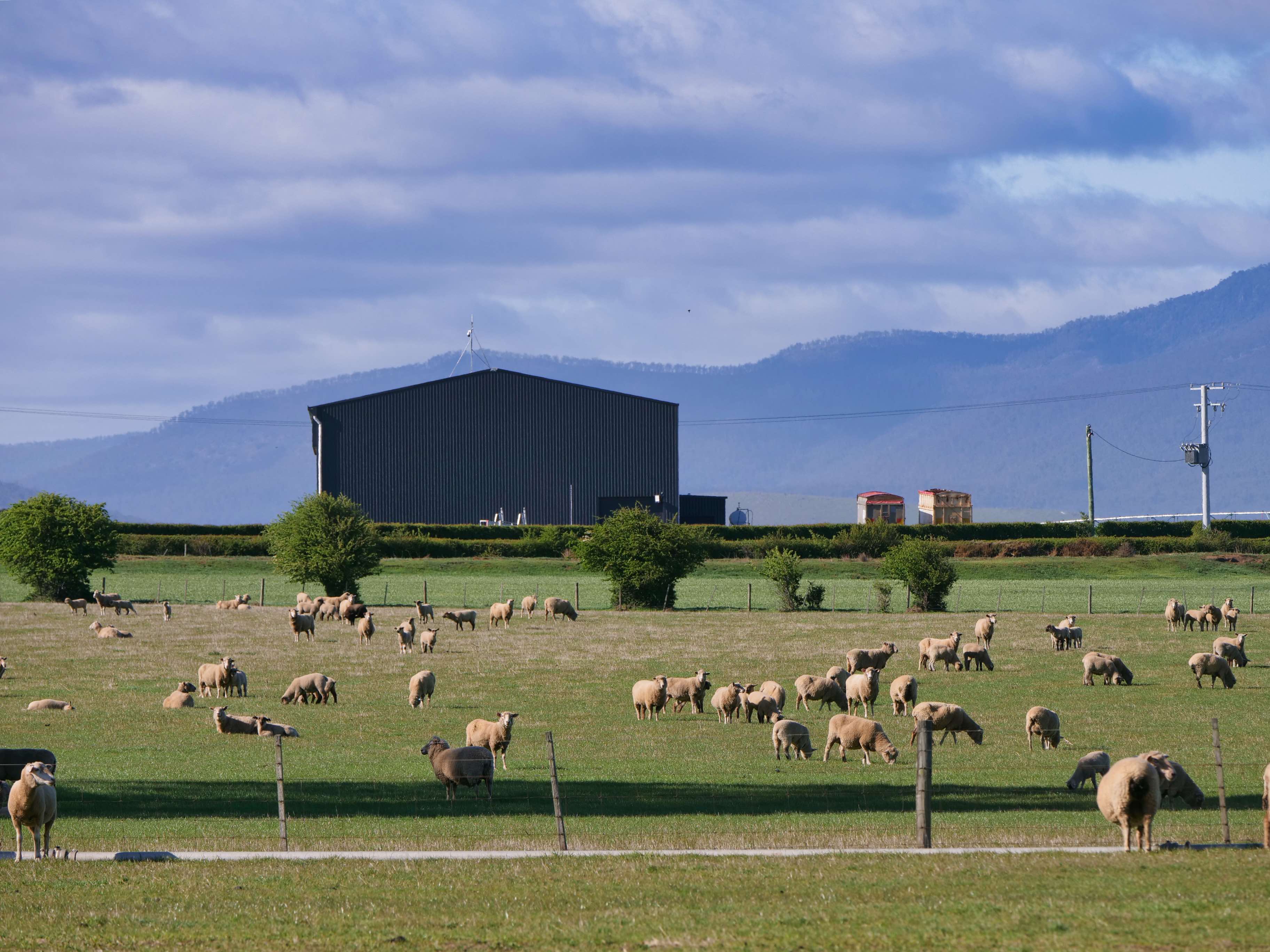 236 Saundridge Road, Cressy, TAS, 7302 - Image 11