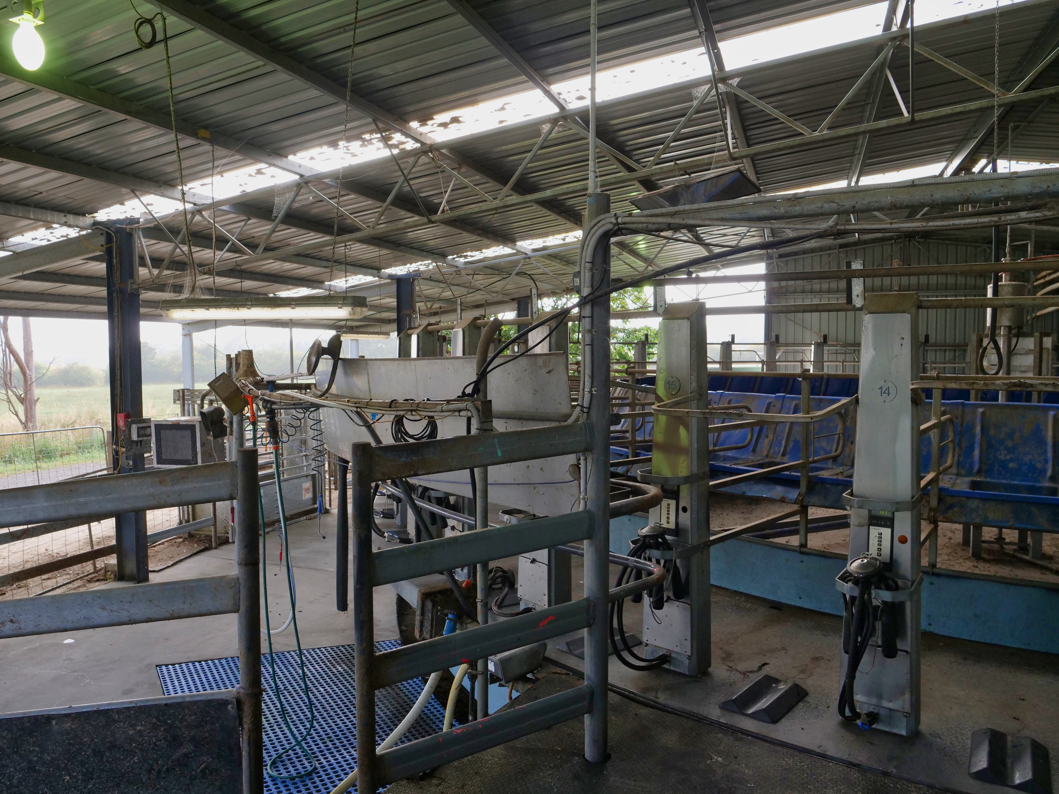 145 Fernleigh Road, Caveside, TAS, 7304 - Image 8