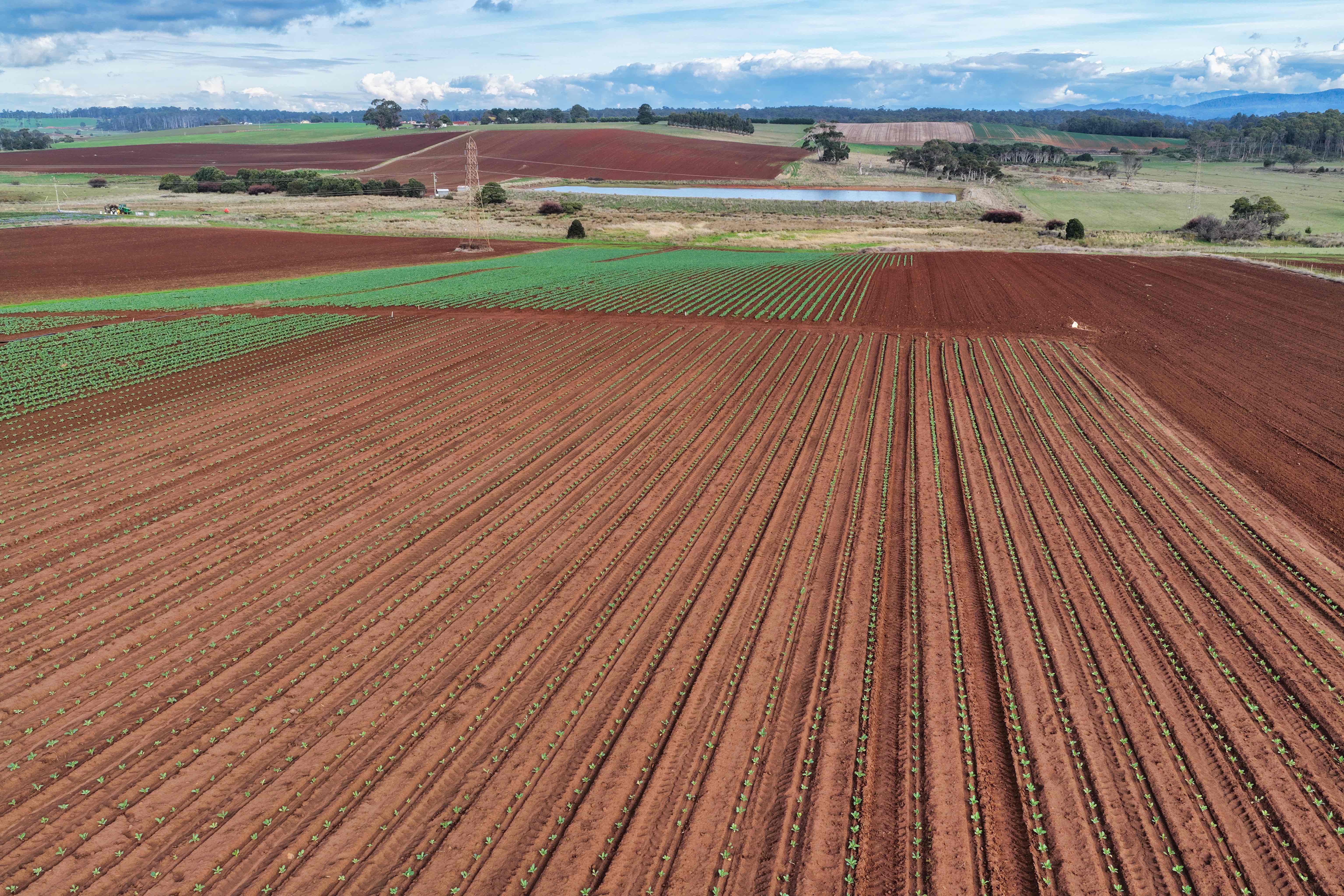 384 Port Sorrell Road, Wesley Vale, TAS, 7307 - Image 2