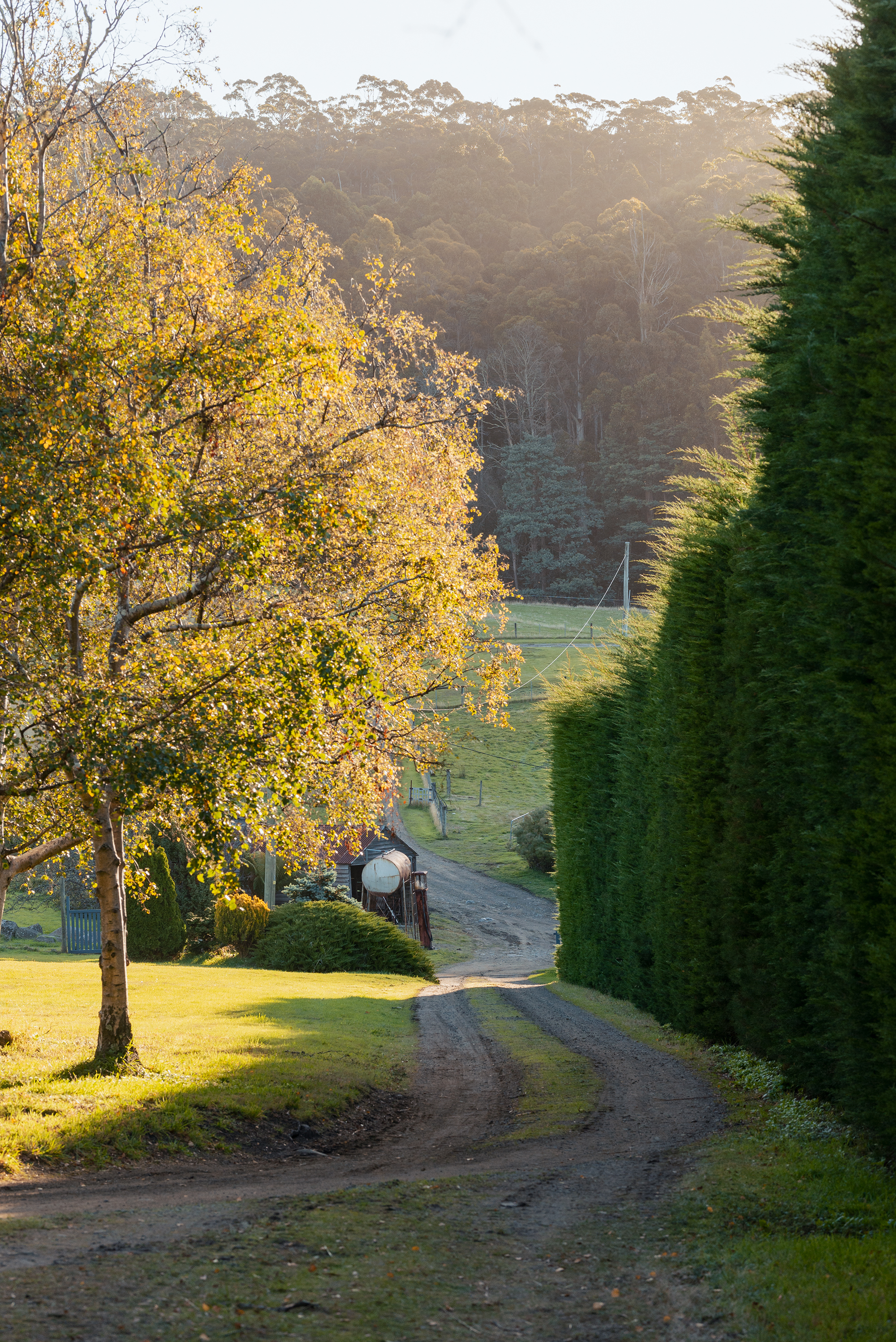 190 Stormlea Road, Nubeena, TAS, 7184 - Image 23