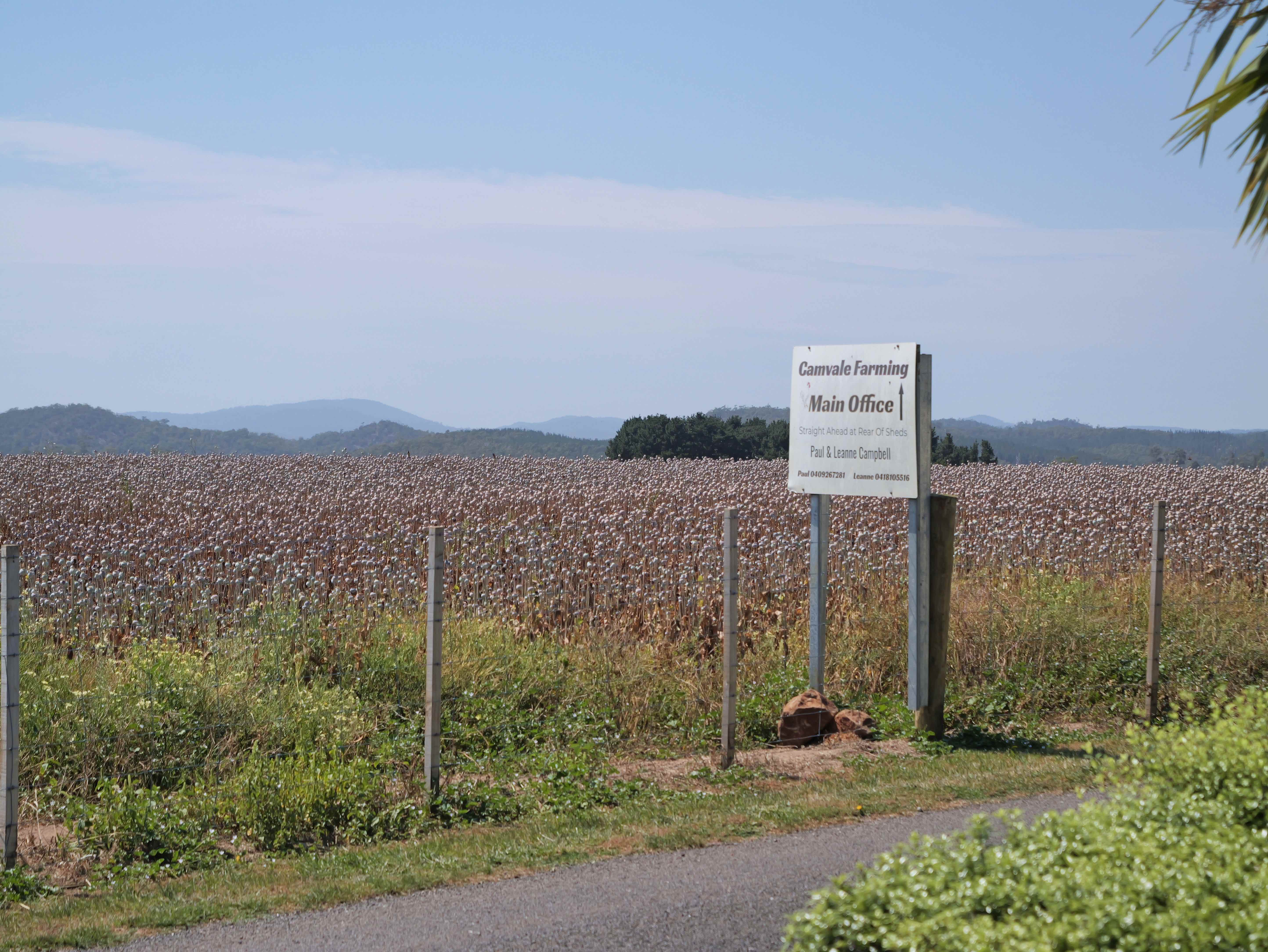 580 Chapel Road, Sassafras, TAS, 7307 - Image 21