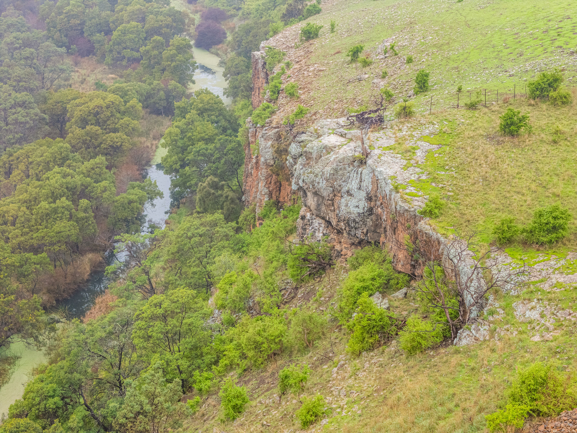 14 Brownwood Estate Road, Campania, TAS, 7026 - Image 10