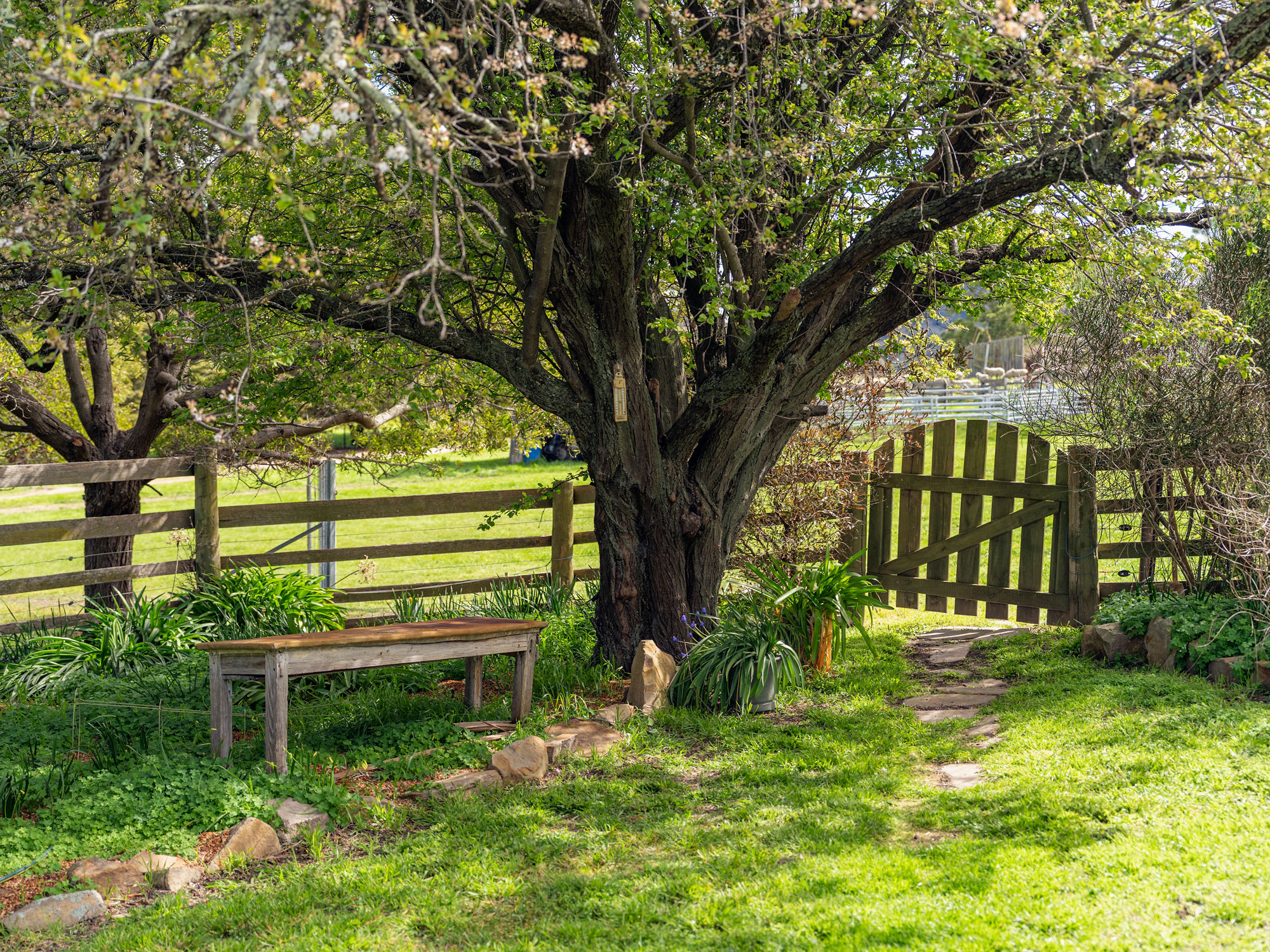 669 Black Brush Road, Broadmarsh, TAS, 7030 - Image 26