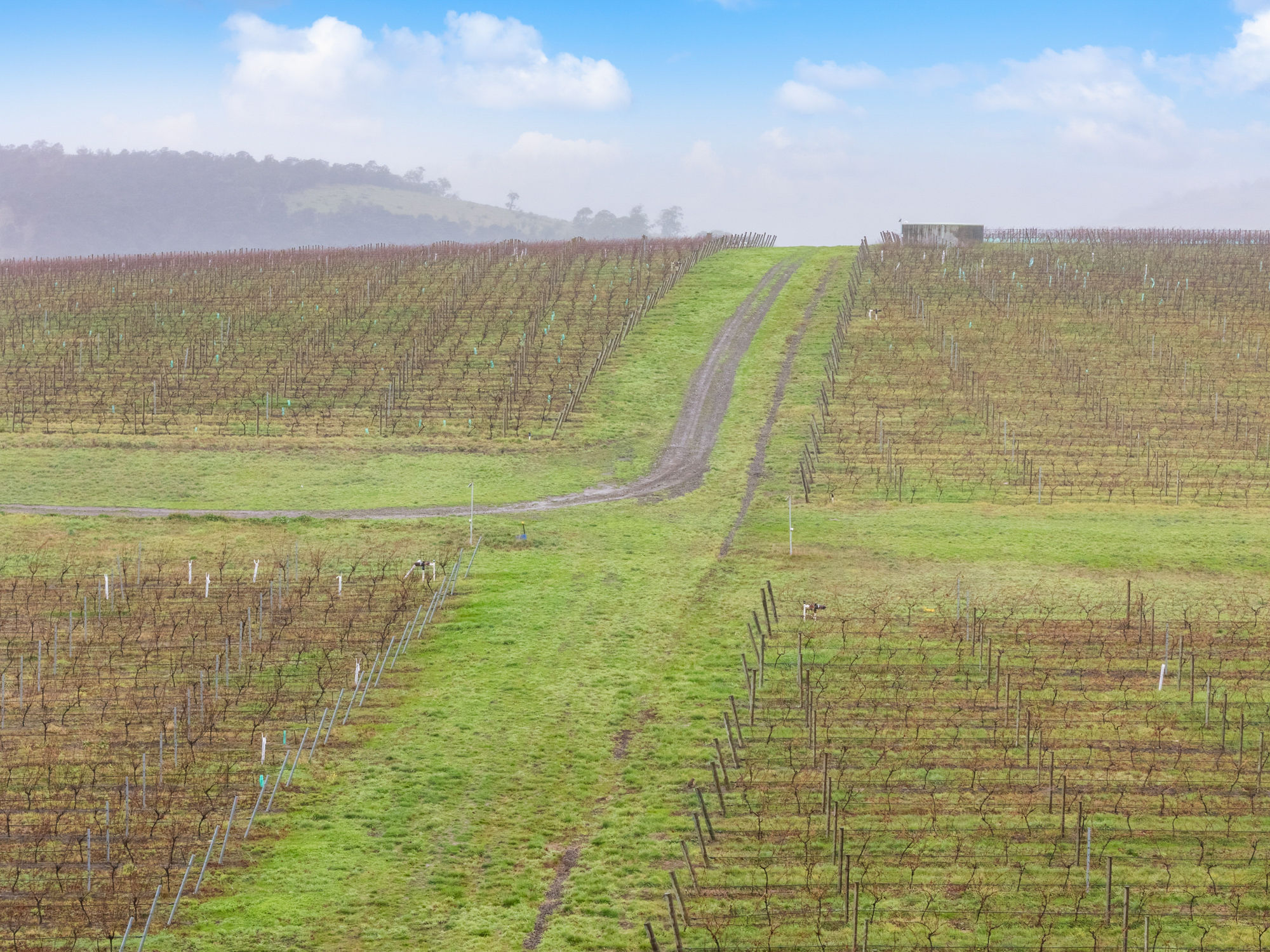 14 Brownwood Estate Road, Campania, TAS, 7026 - Image 7