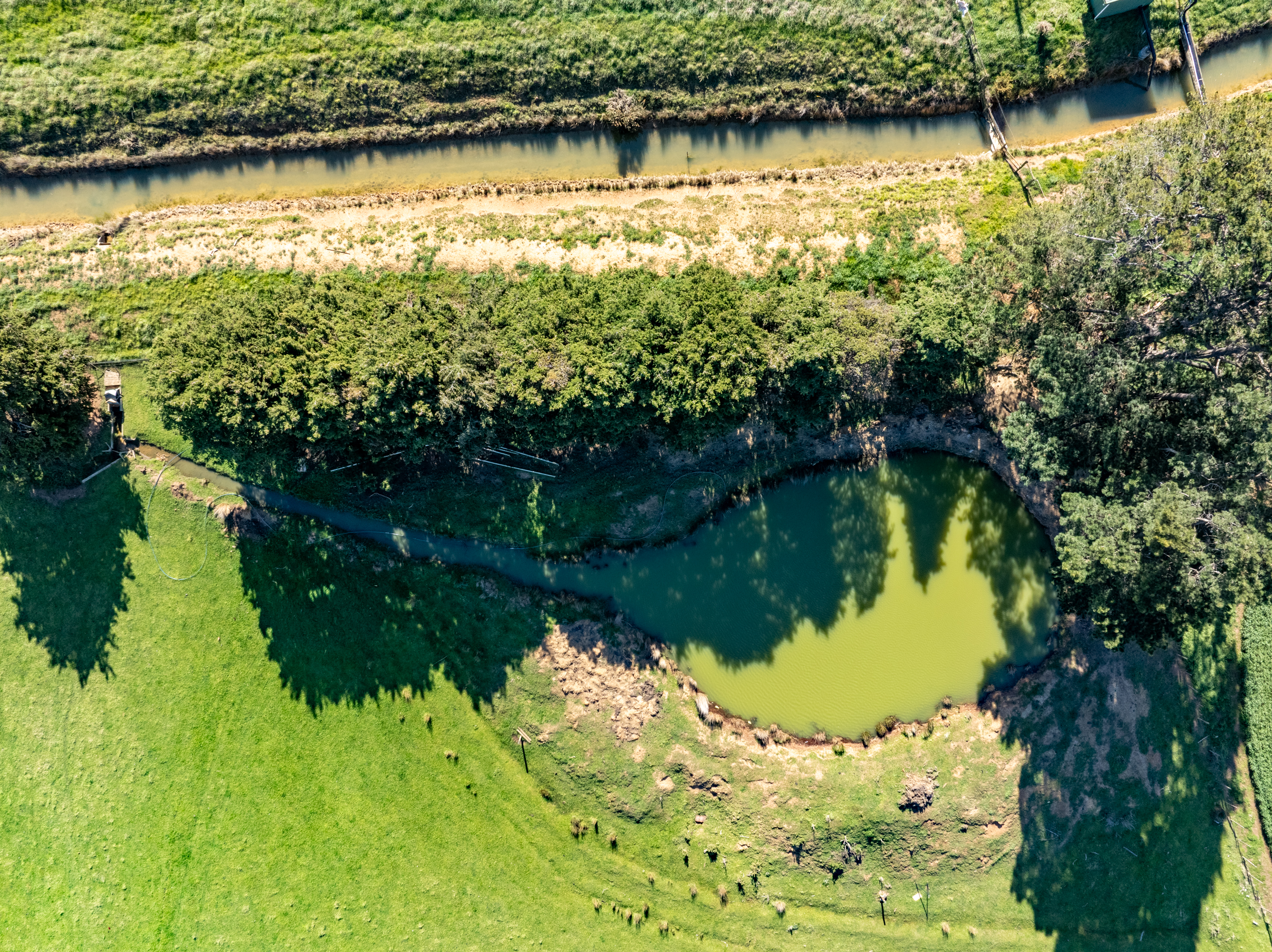 474 Green Rises Road, Cressy, TAS, 7302 - Image 9