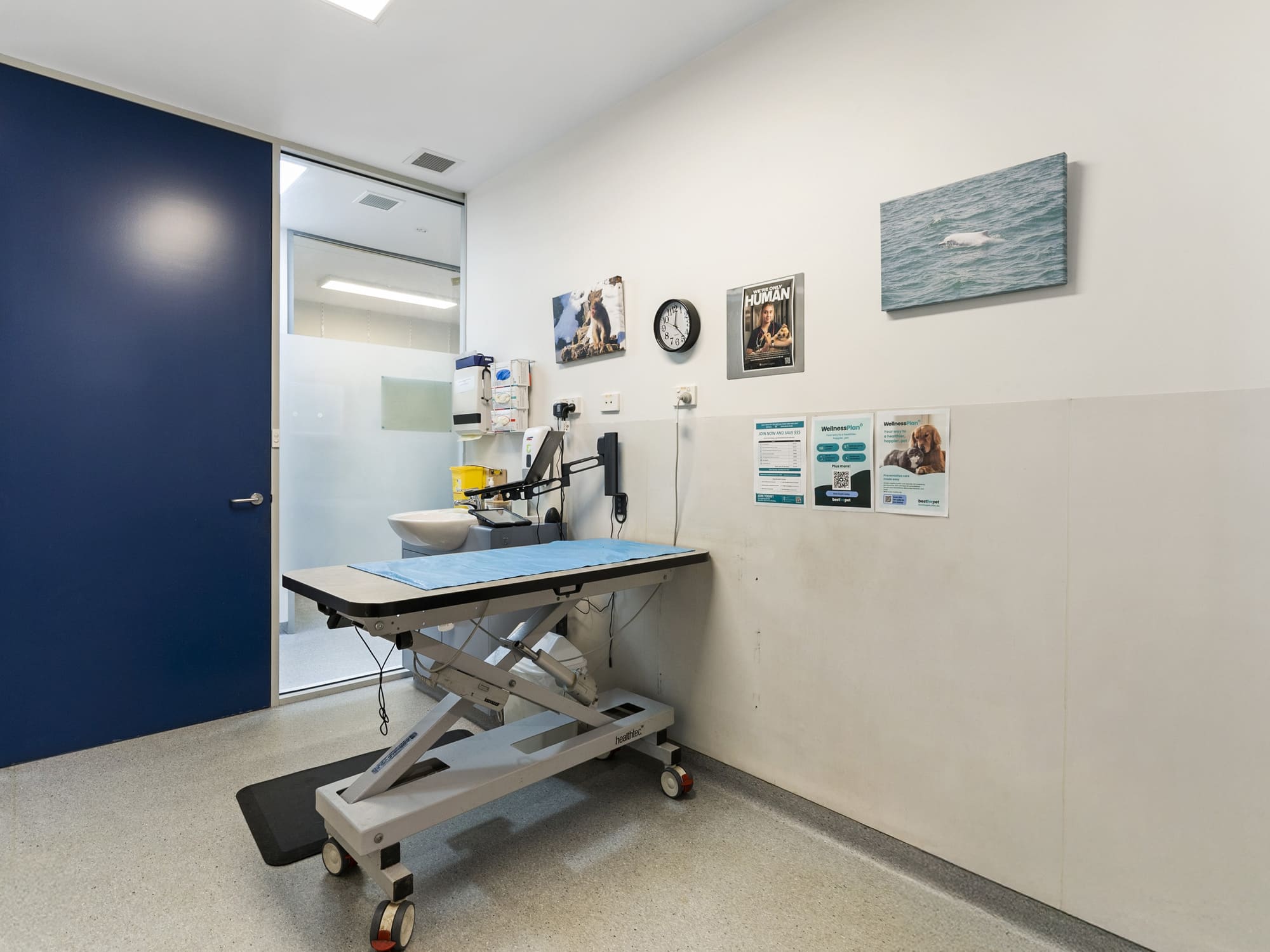 488 Main Road, Montrose, TAS, 7010 - Image 7