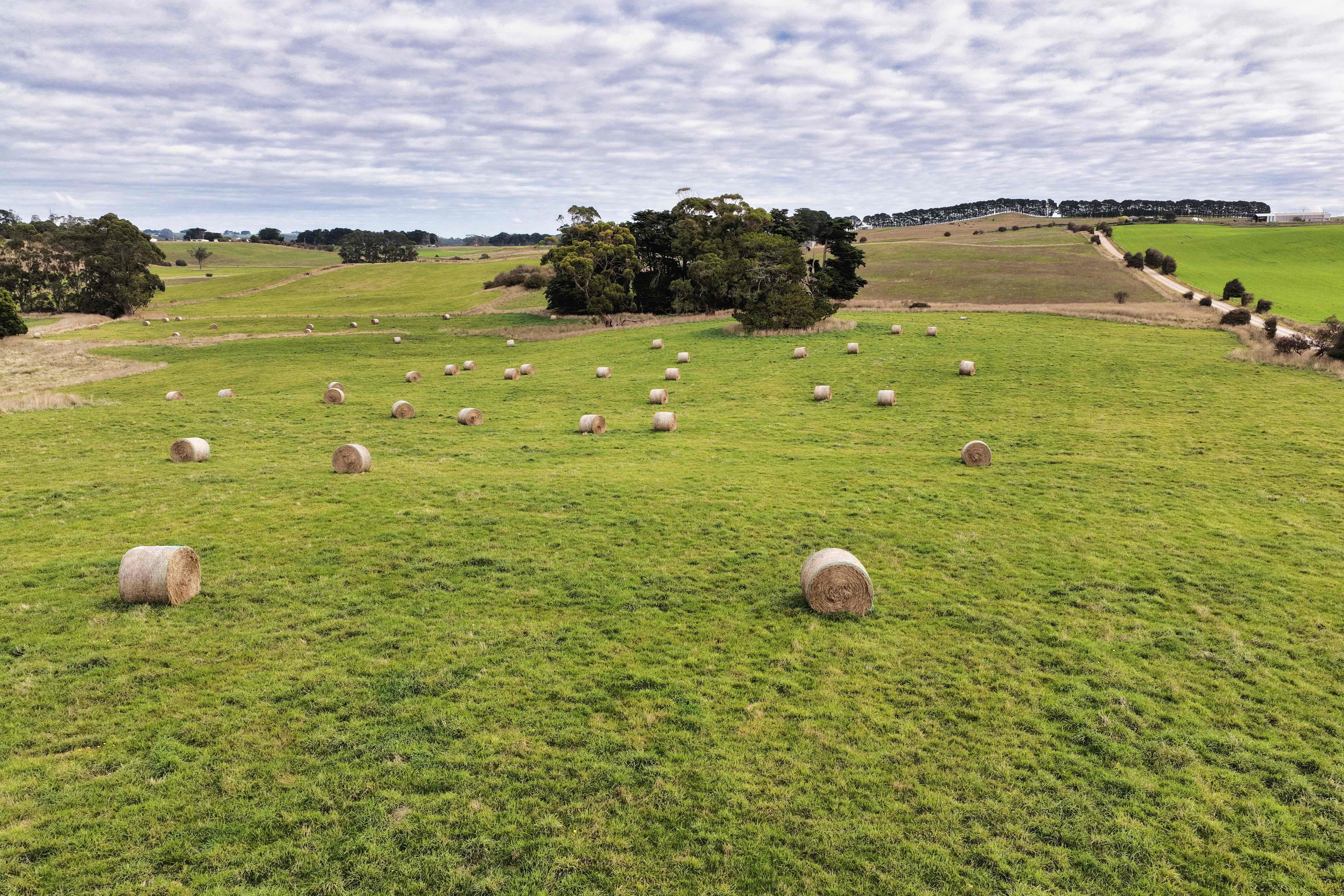 699 Mengha Road, Forest, TAS, 7330 - Image 10