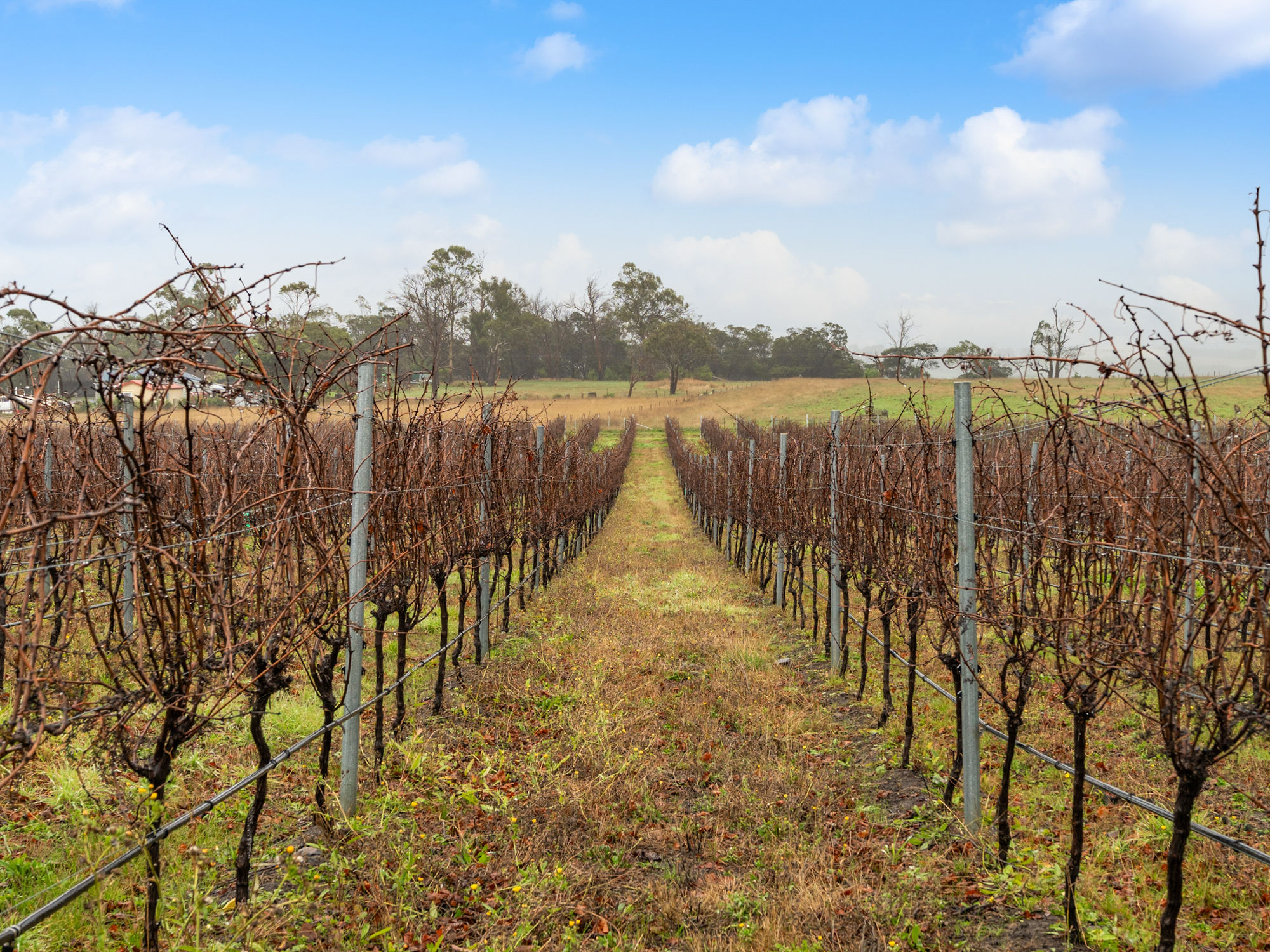 14 Brownwood Estate Road, Campania, TAS, 7026 - Image 8