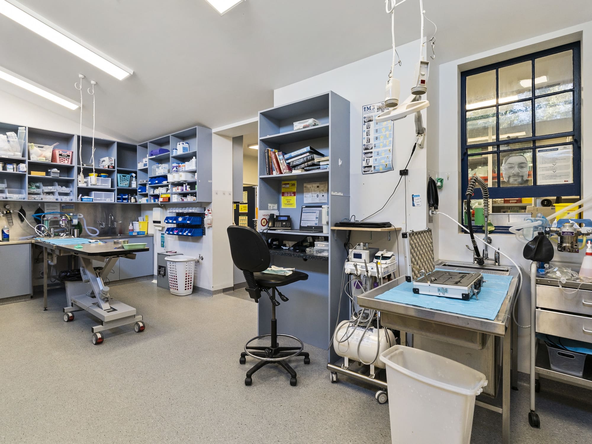 488 Main Road, Montrose, TAS, 7010 - Image 9