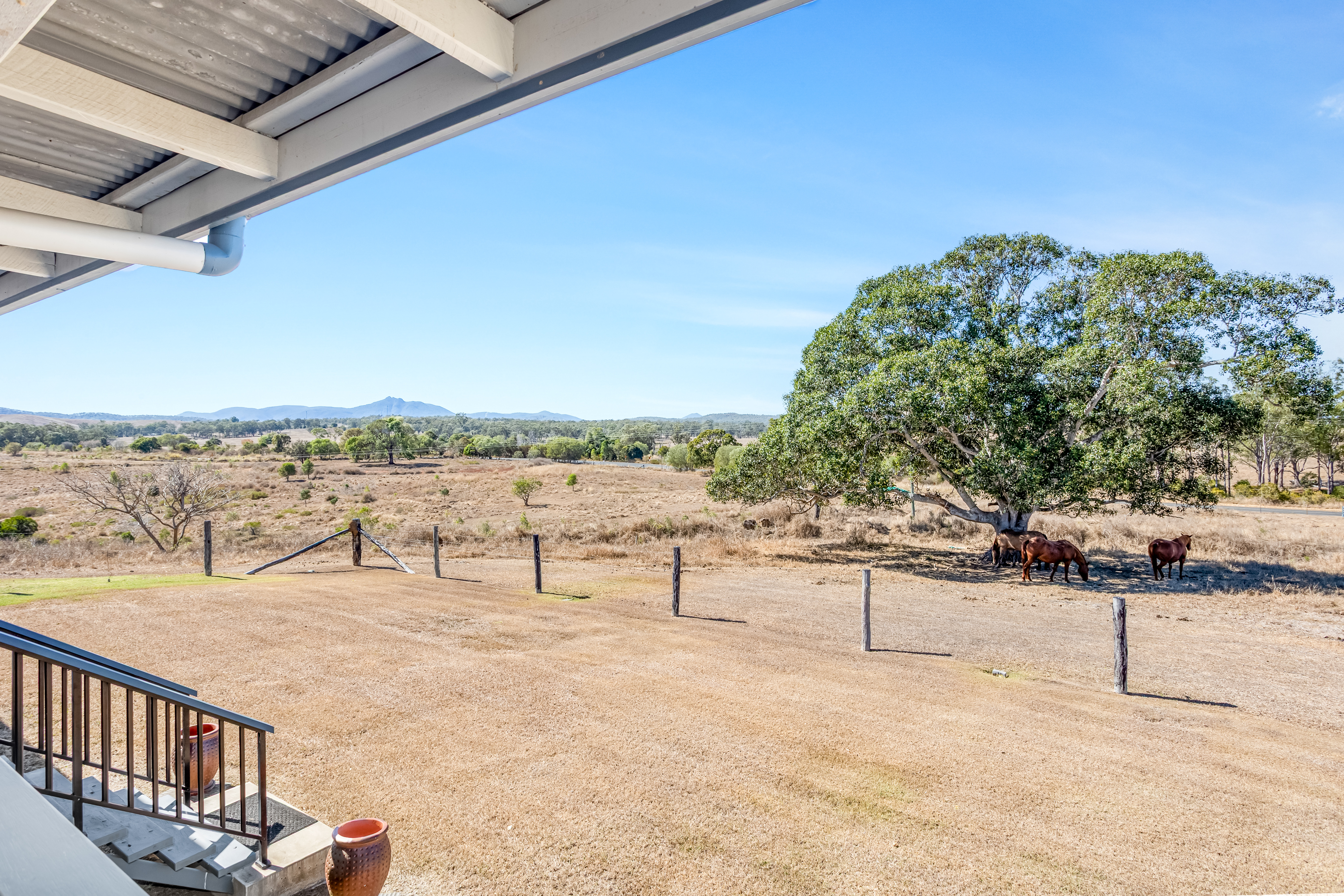 356 Mount Larcom-Bracewell Road, Machine Creek, QLD, 4695 - Image 4