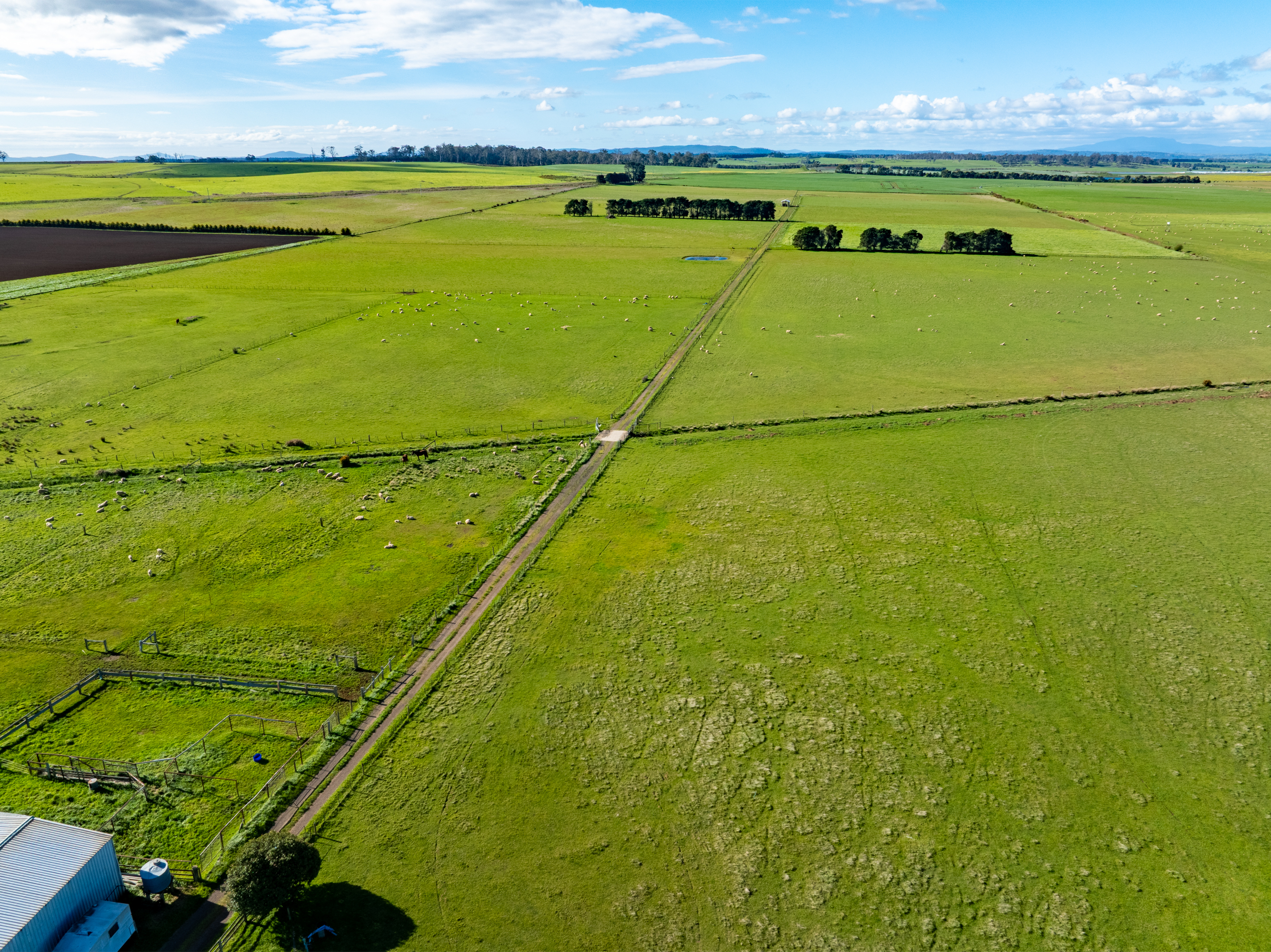 474 Green Rises Road, Cressy, TAS, 7302 - Image 4