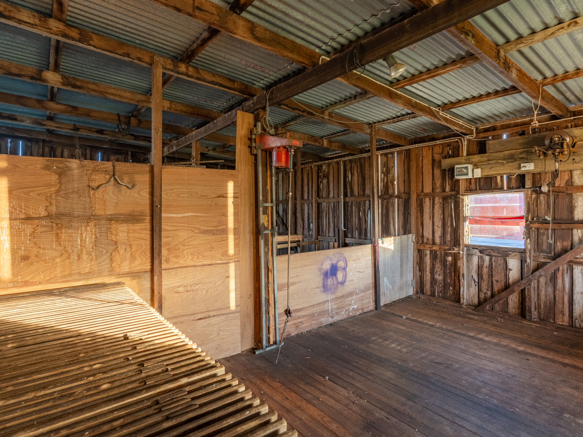 199 Williams Road, Tea Tree, TAS, 7017 - Image 28