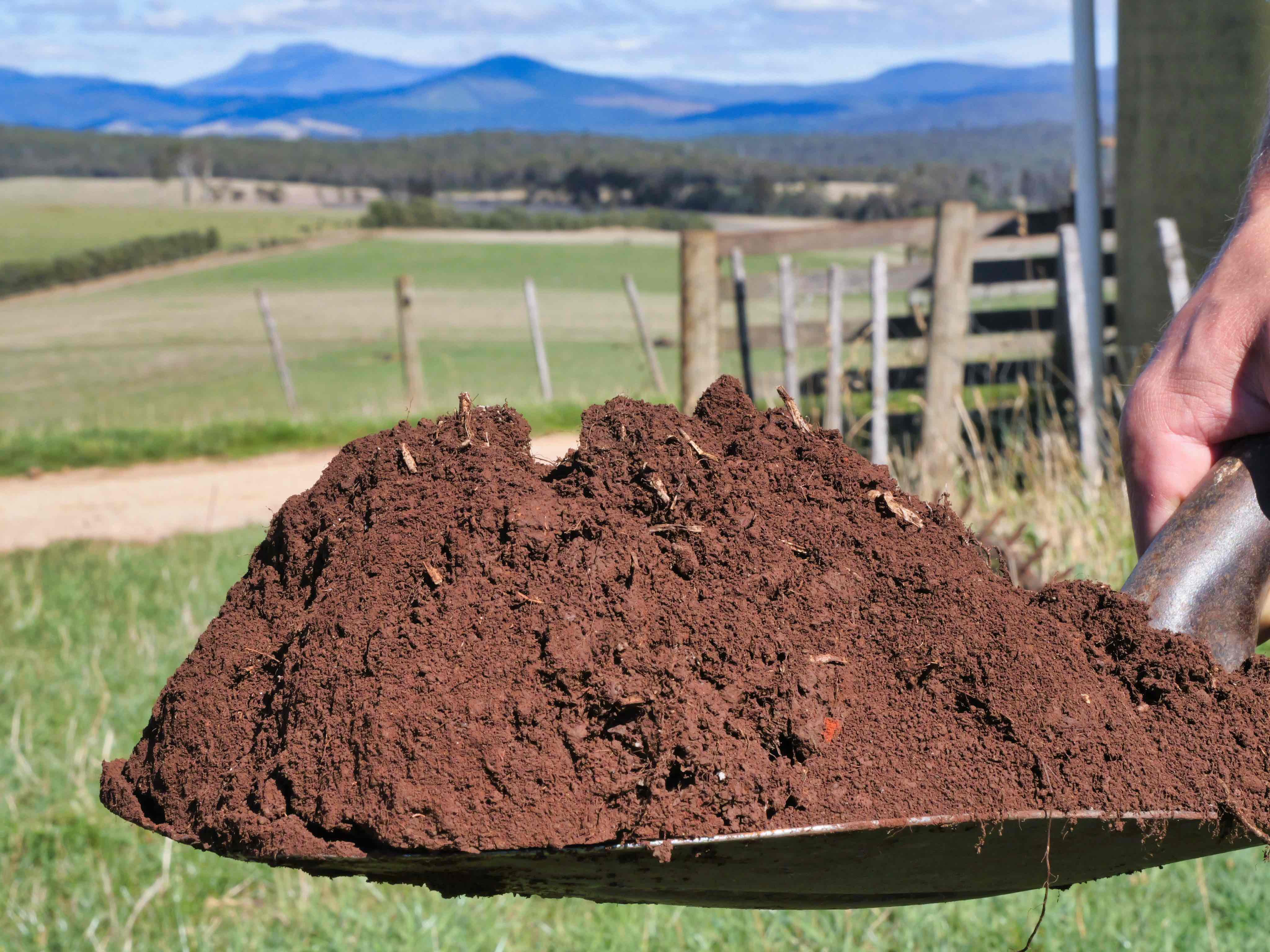 985 Ferny Hill Road, Bridport, TAS, 7262 - Image 8