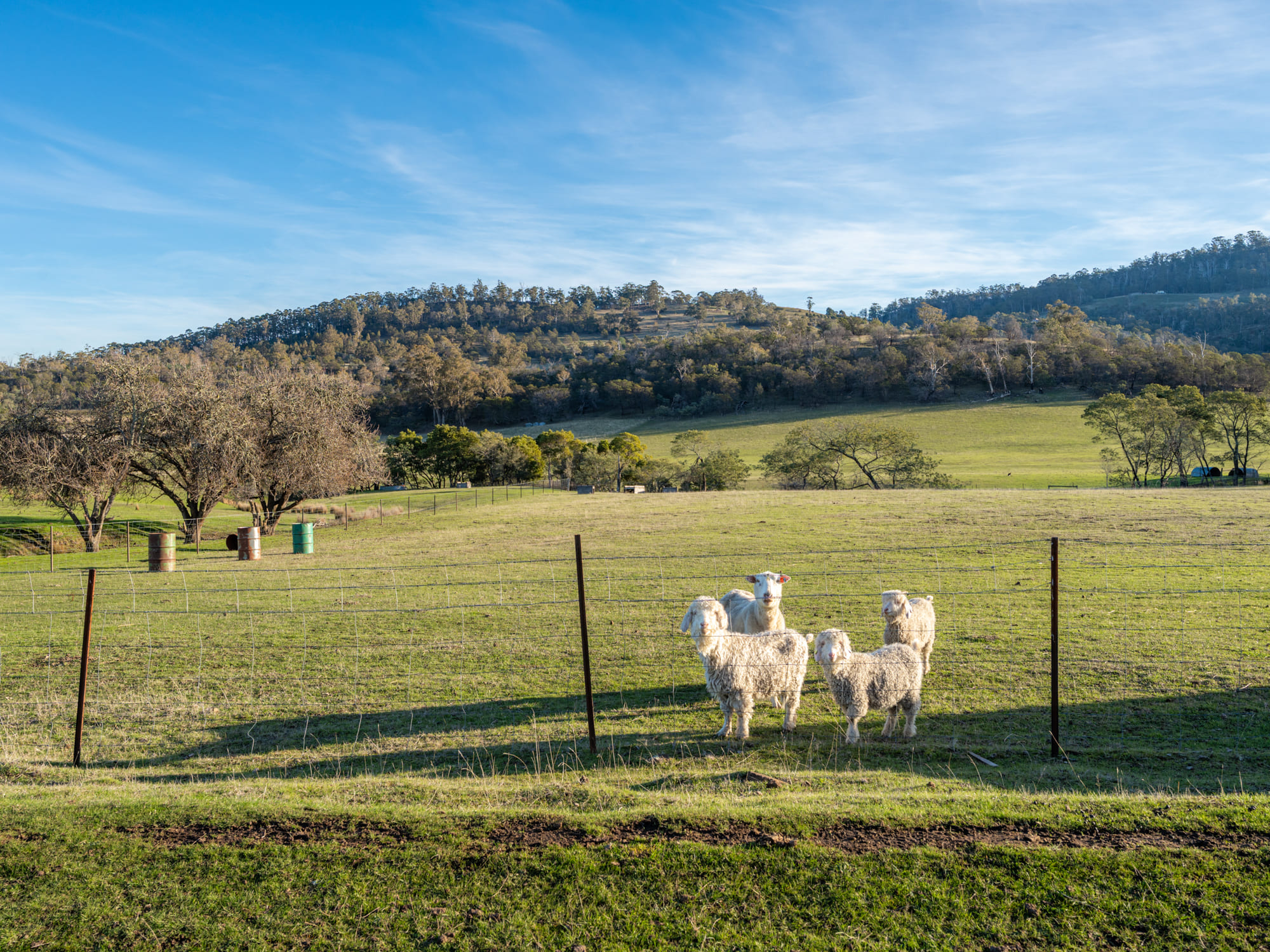 199 Williams Road, Tea Tree, TAS, 7017 - Image 29