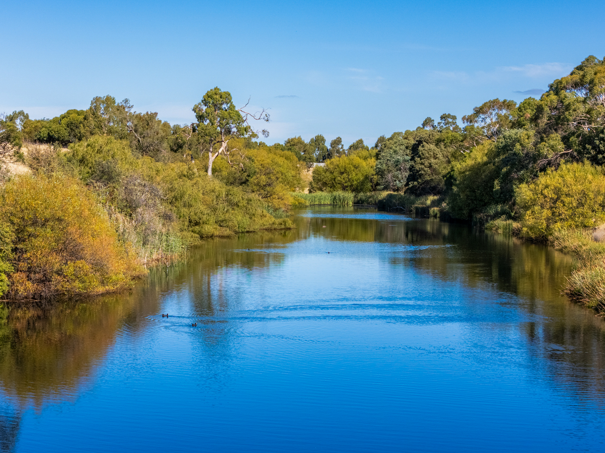 383 Prossers Road, Richmond, TAS, 7025 - Image 25