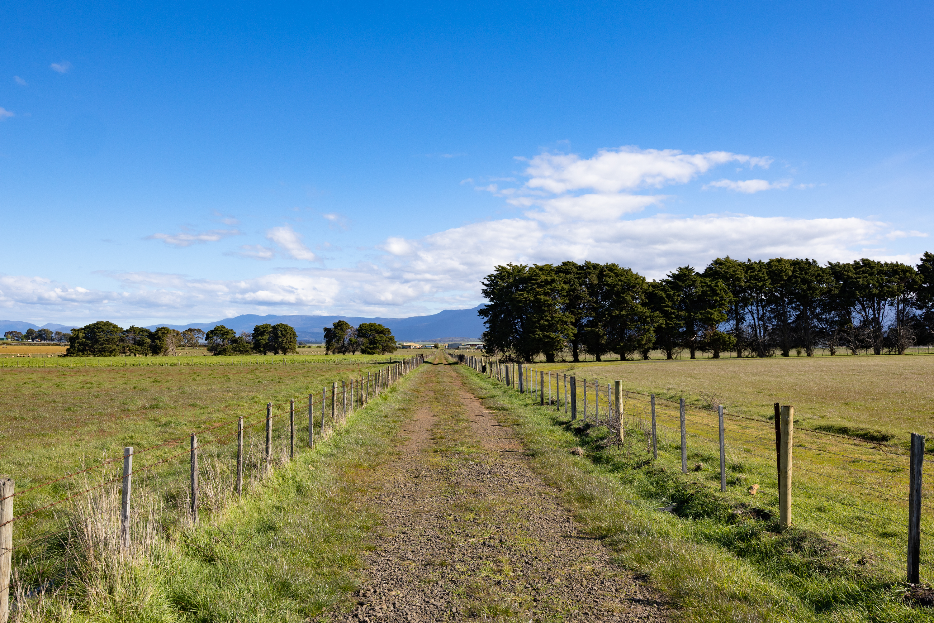 474 Green Rises Road, Cressy, TAS, 7302 - Image 5