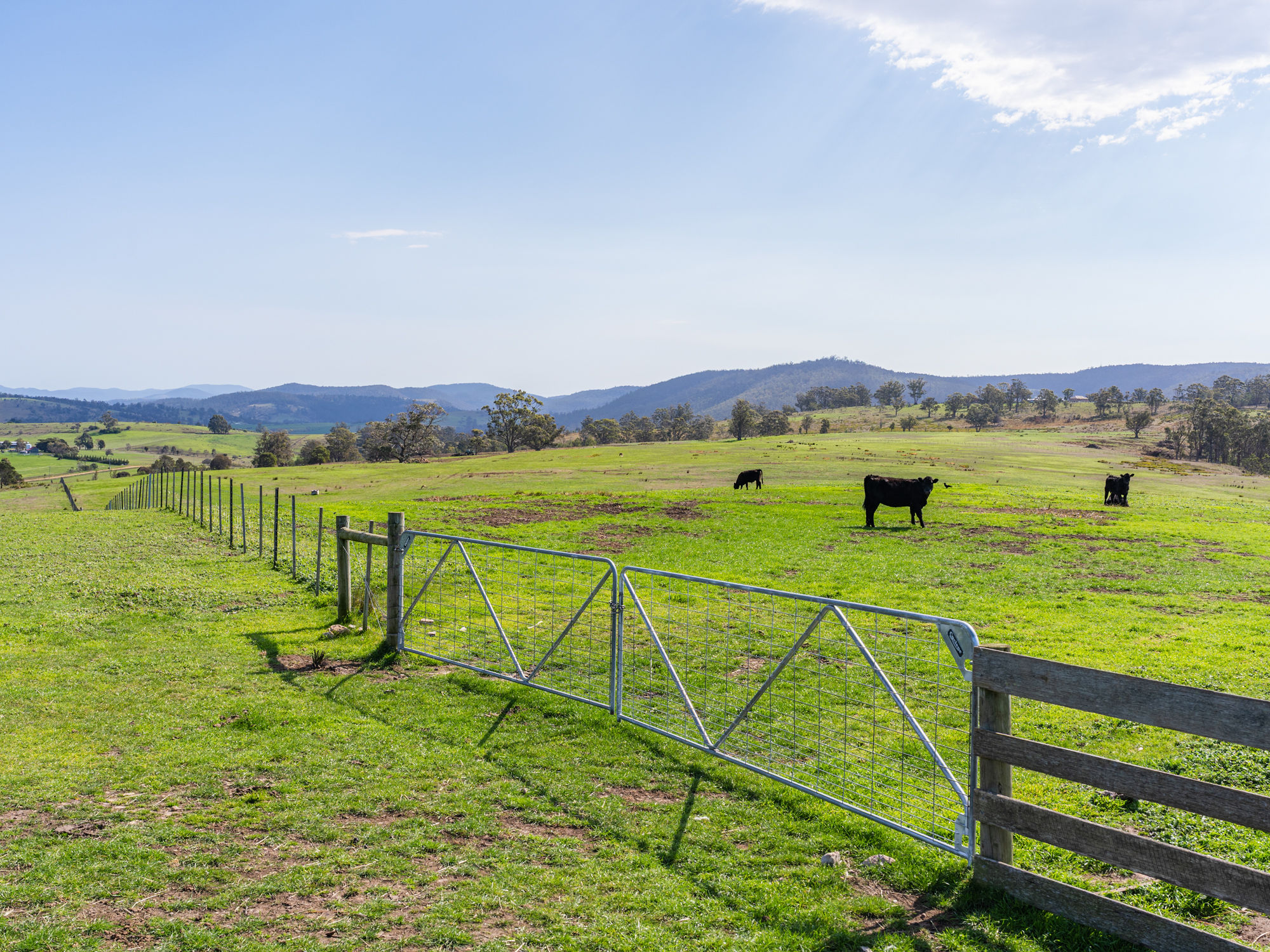 492 Delmore Road, Wattle Hill, TAS, 7172 - Image 9