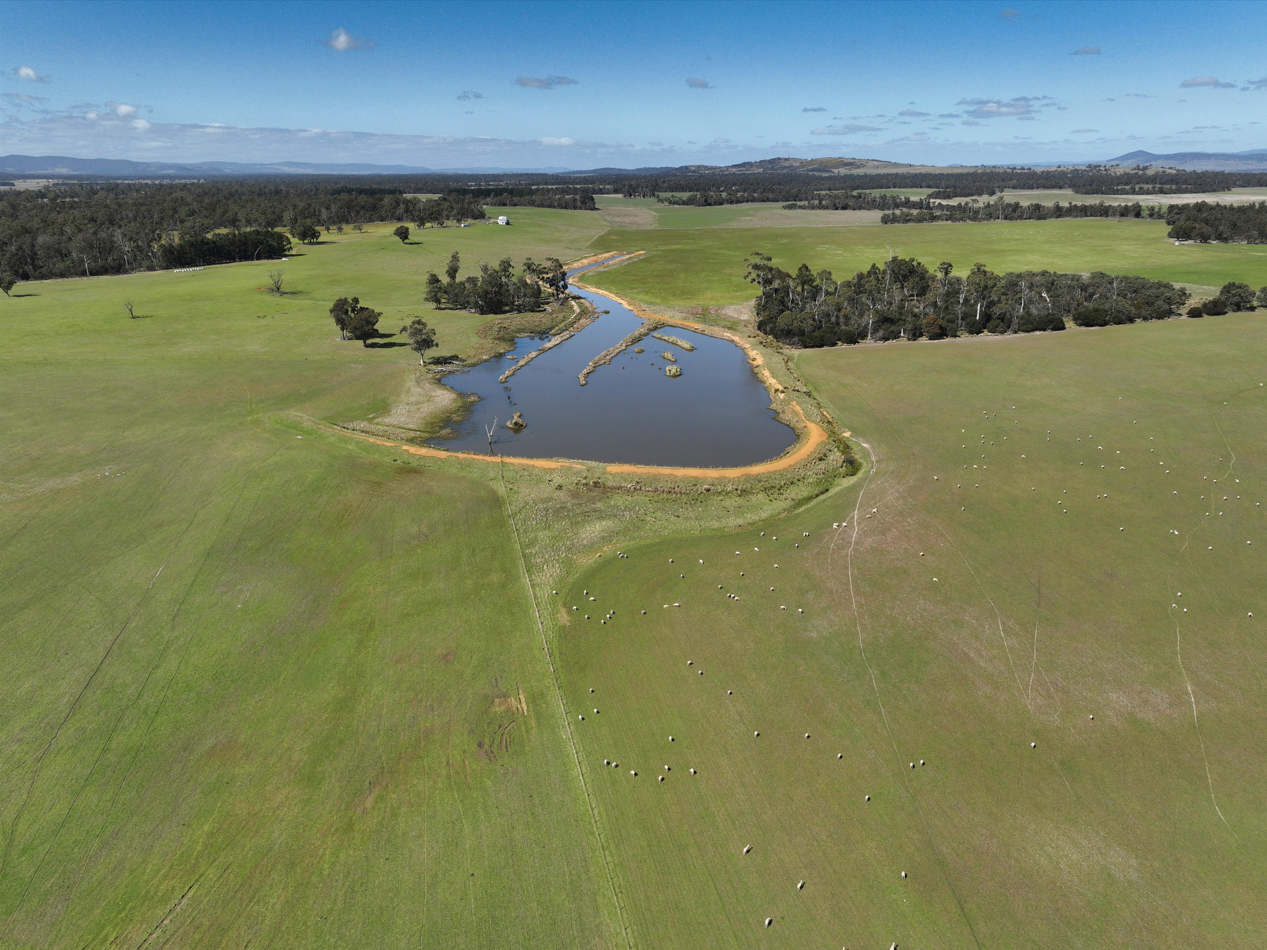 1 Barton Road, Epping Forest, TAS, 7211 - Image 4