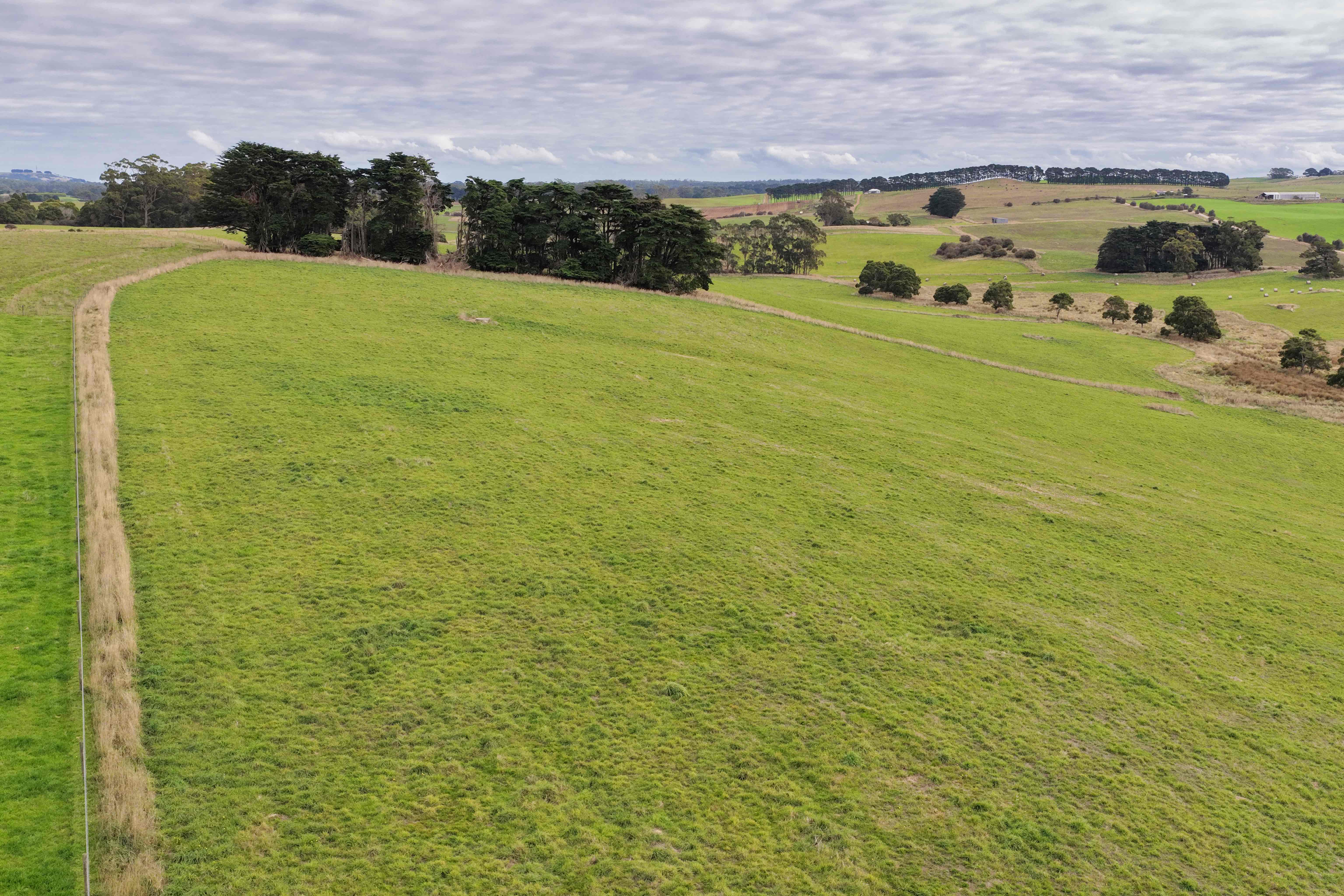 699 Mengha Road, Forest, TAS, 7330 - Image 4
