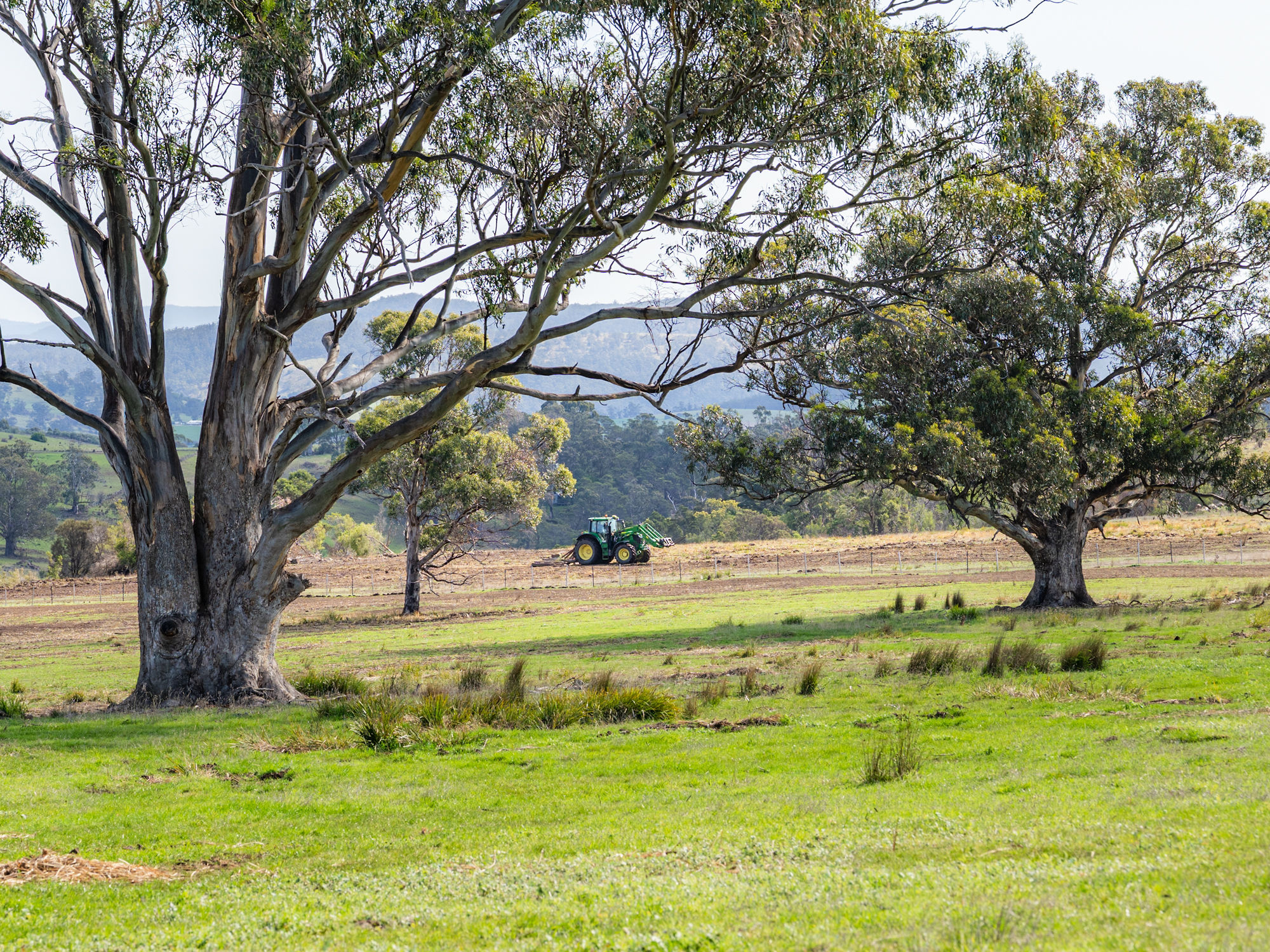 492 Delmore Road, Wattle Hill, TAS, 7172 - Image 10