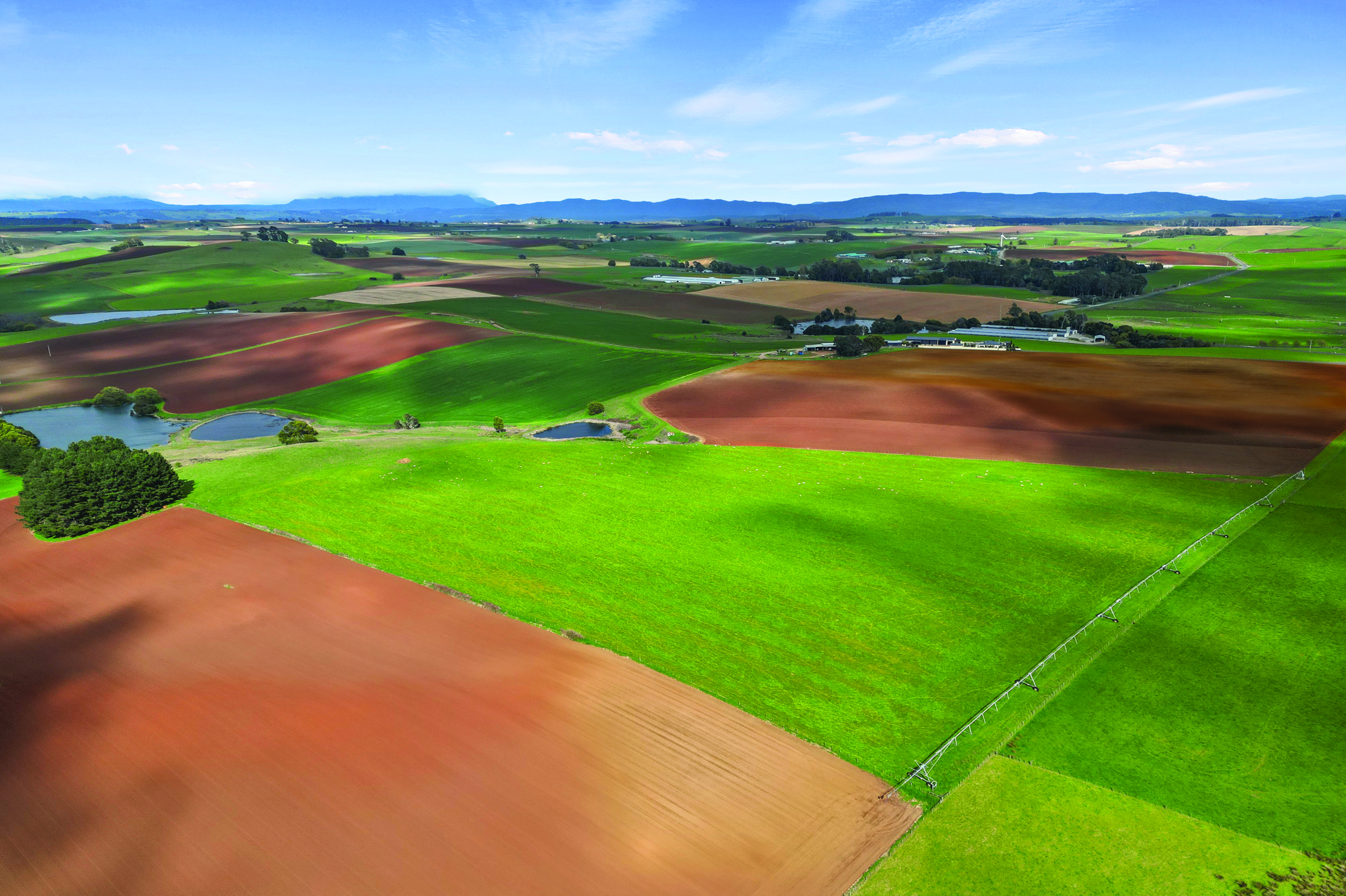 580 Chapel Road, Sassafras, TAS, 7307 - Image 3