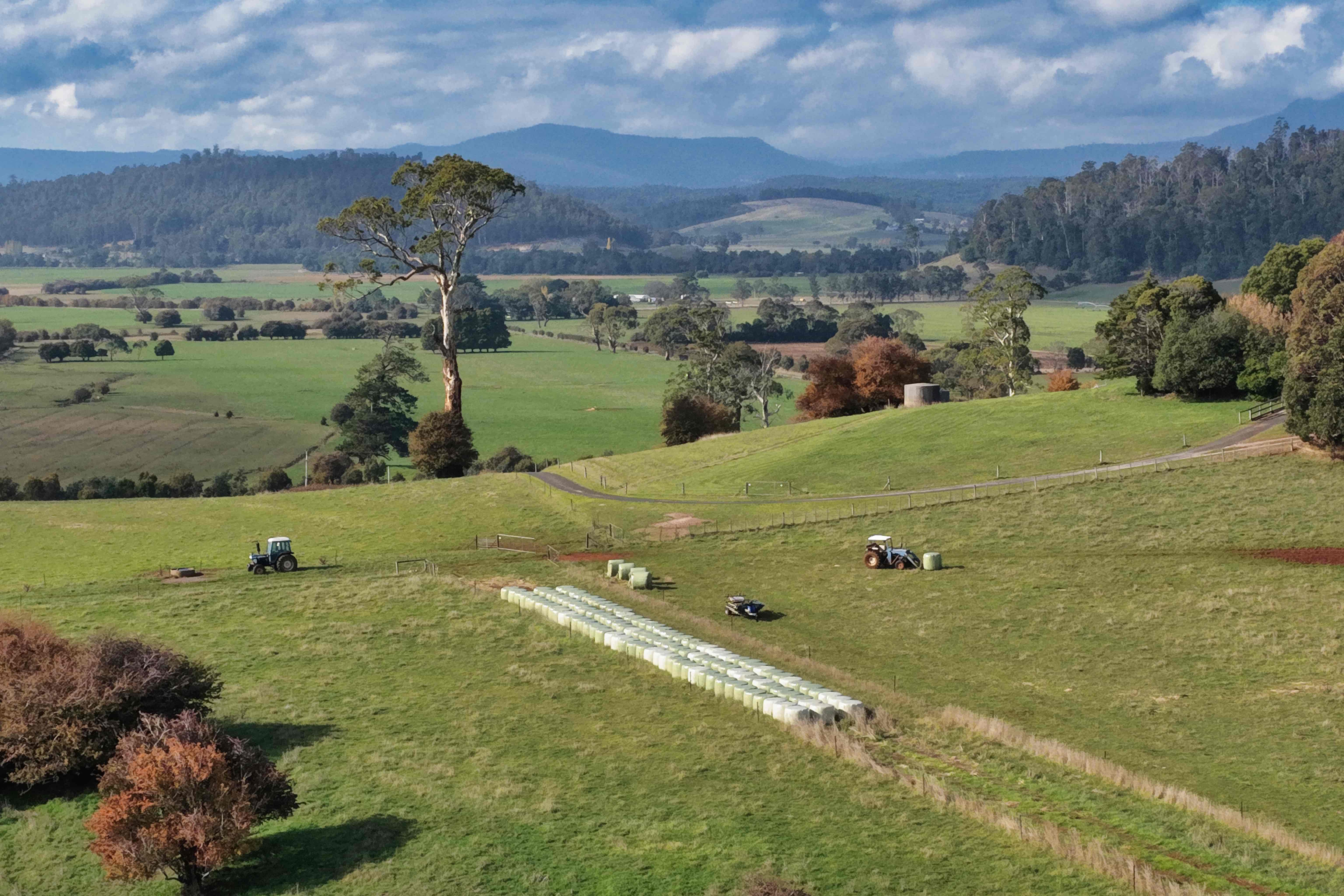 17 Lemana Road, Red Hills, TAS, 7304 - Image 11