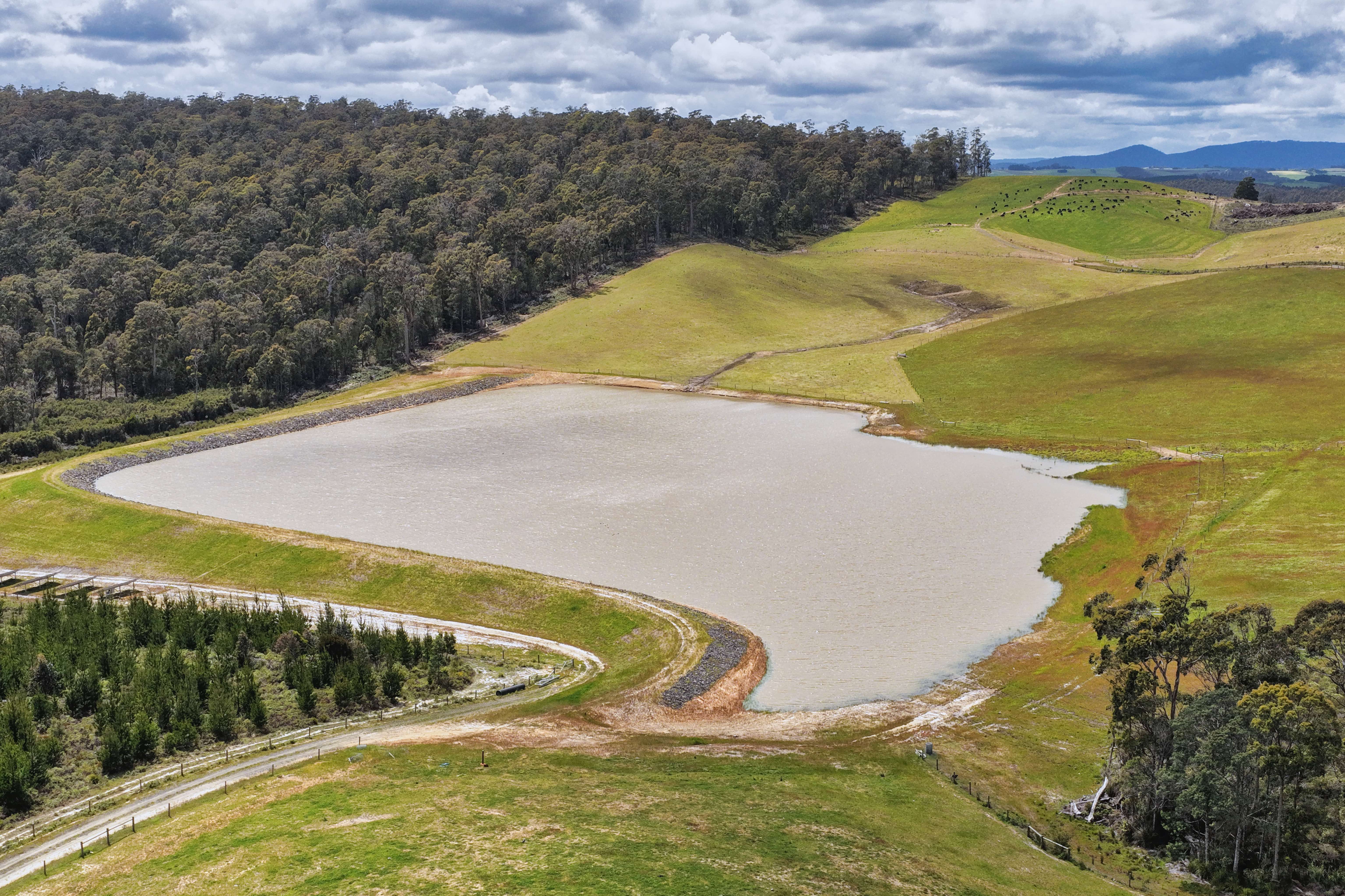 62 Bridport Back Road, Nabowla For Sale by Farmbuy.com - image 3