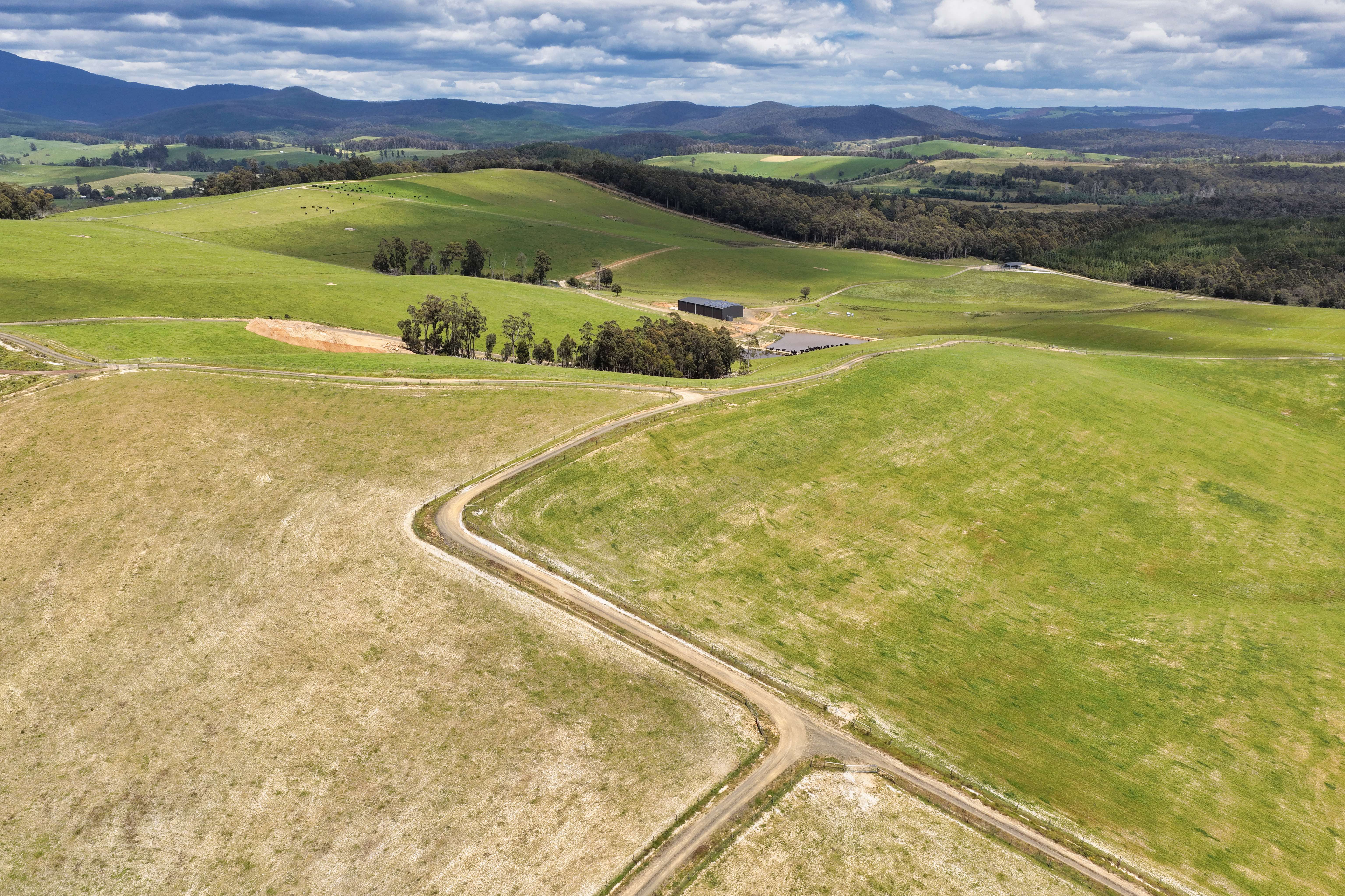 62 Bridport Back Road, Nabowla For Sale by Farmbuy.com - image 6