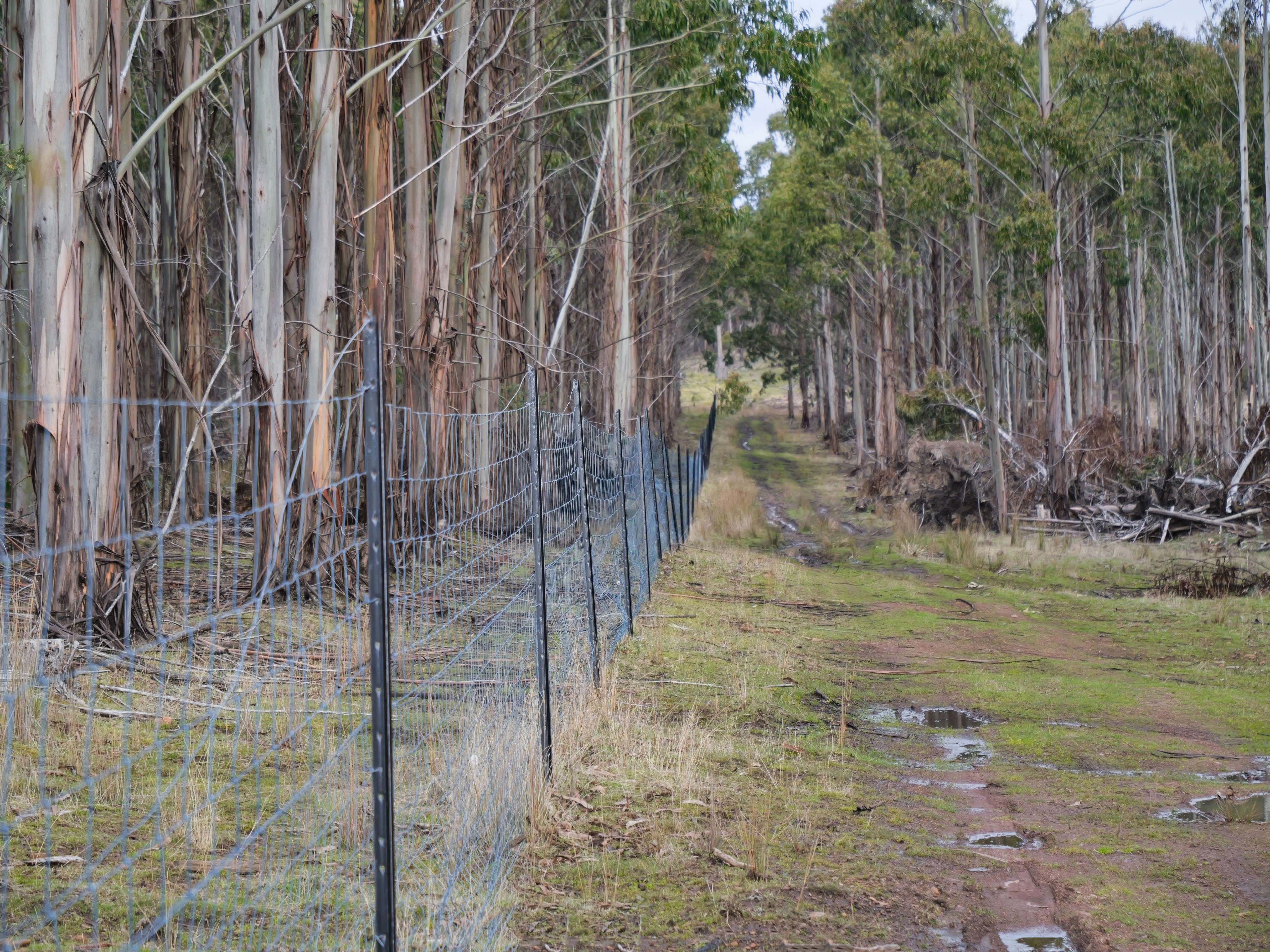 742 Deddington Road, Deddington, TAS, 7212 - Image 9
