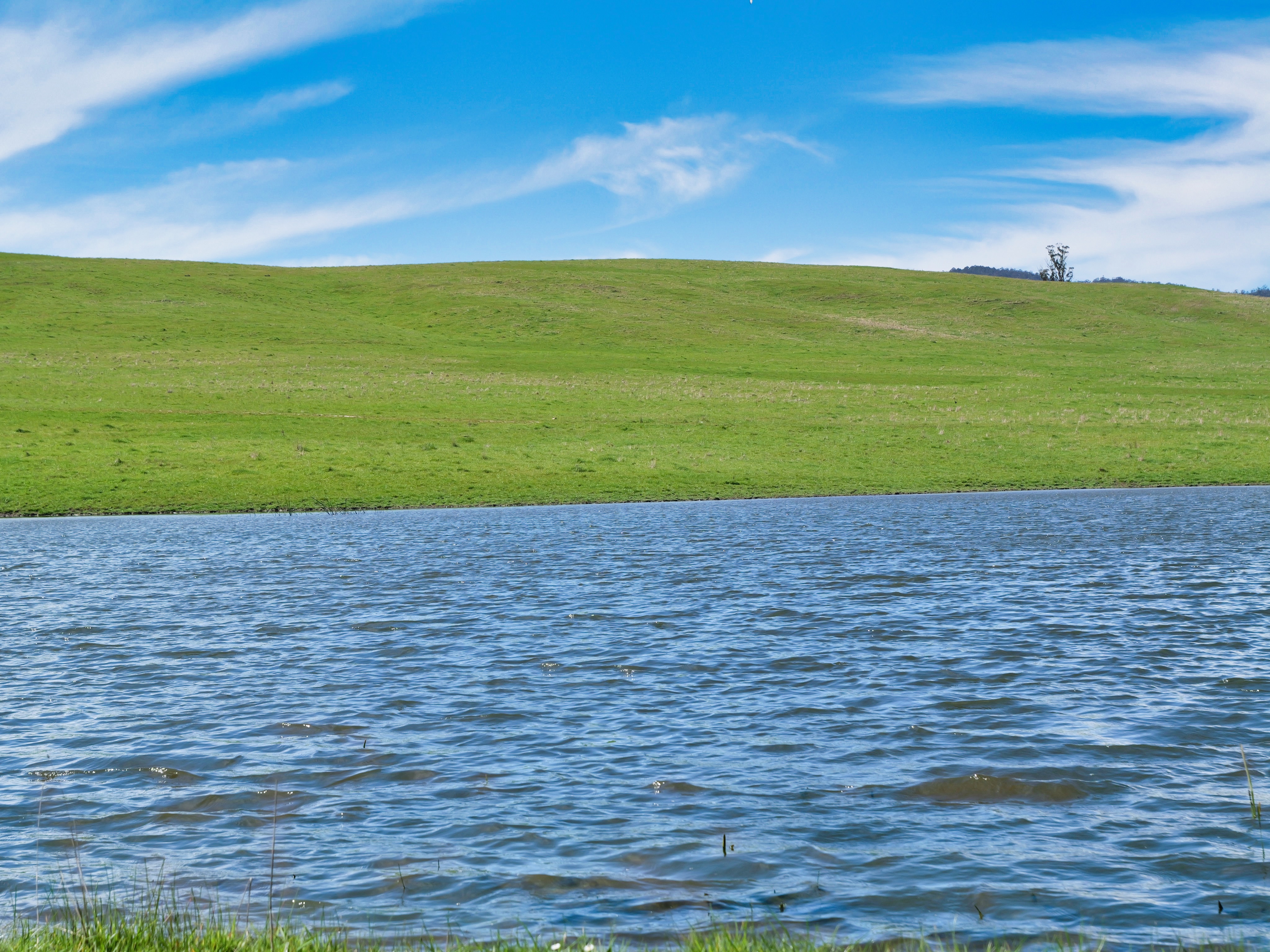 40 Davies Road, Parkham, TAS, 7304 - Image 5