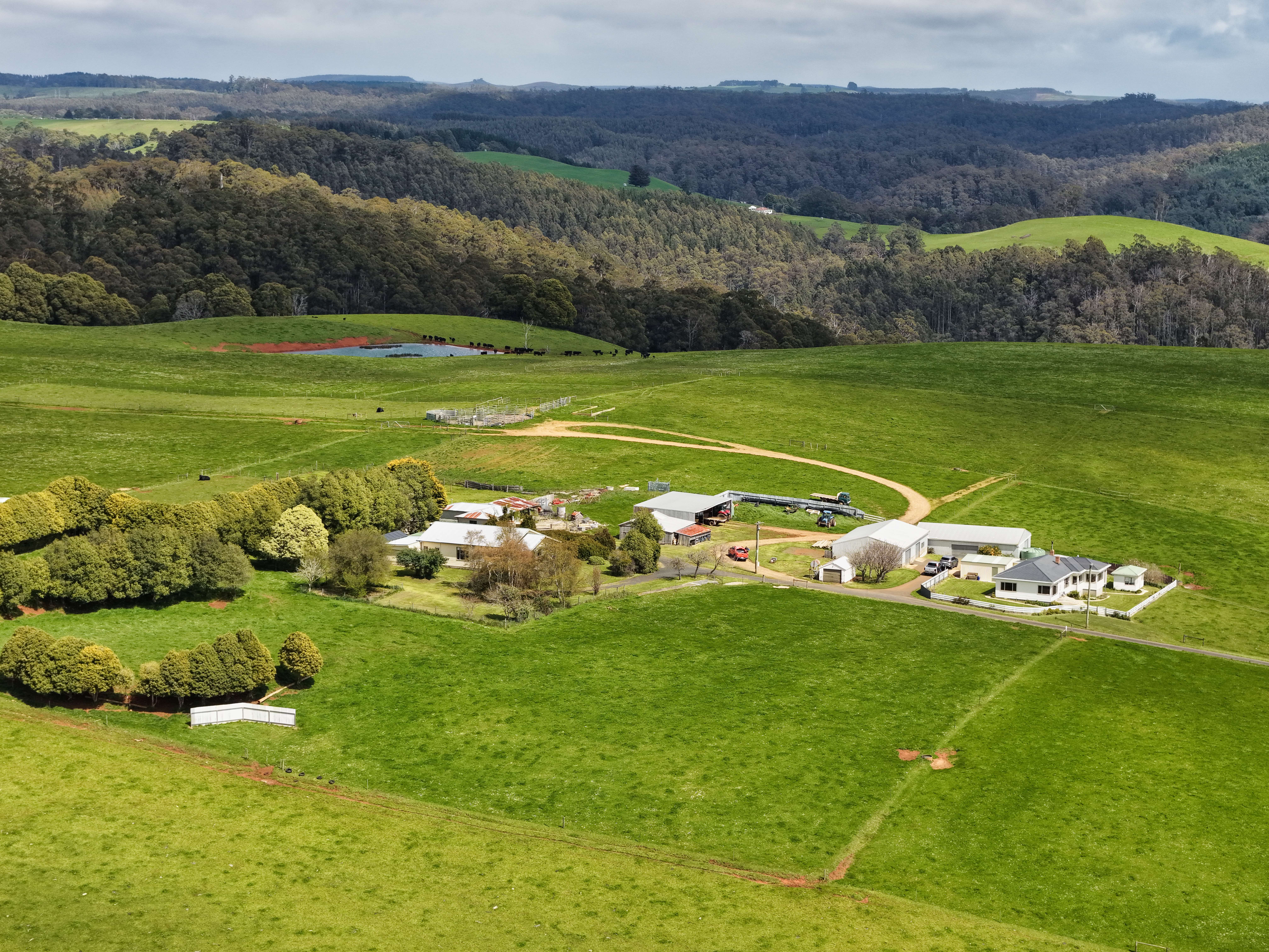 220 Horns Road, Riana, TAS, 7316 - Image 8