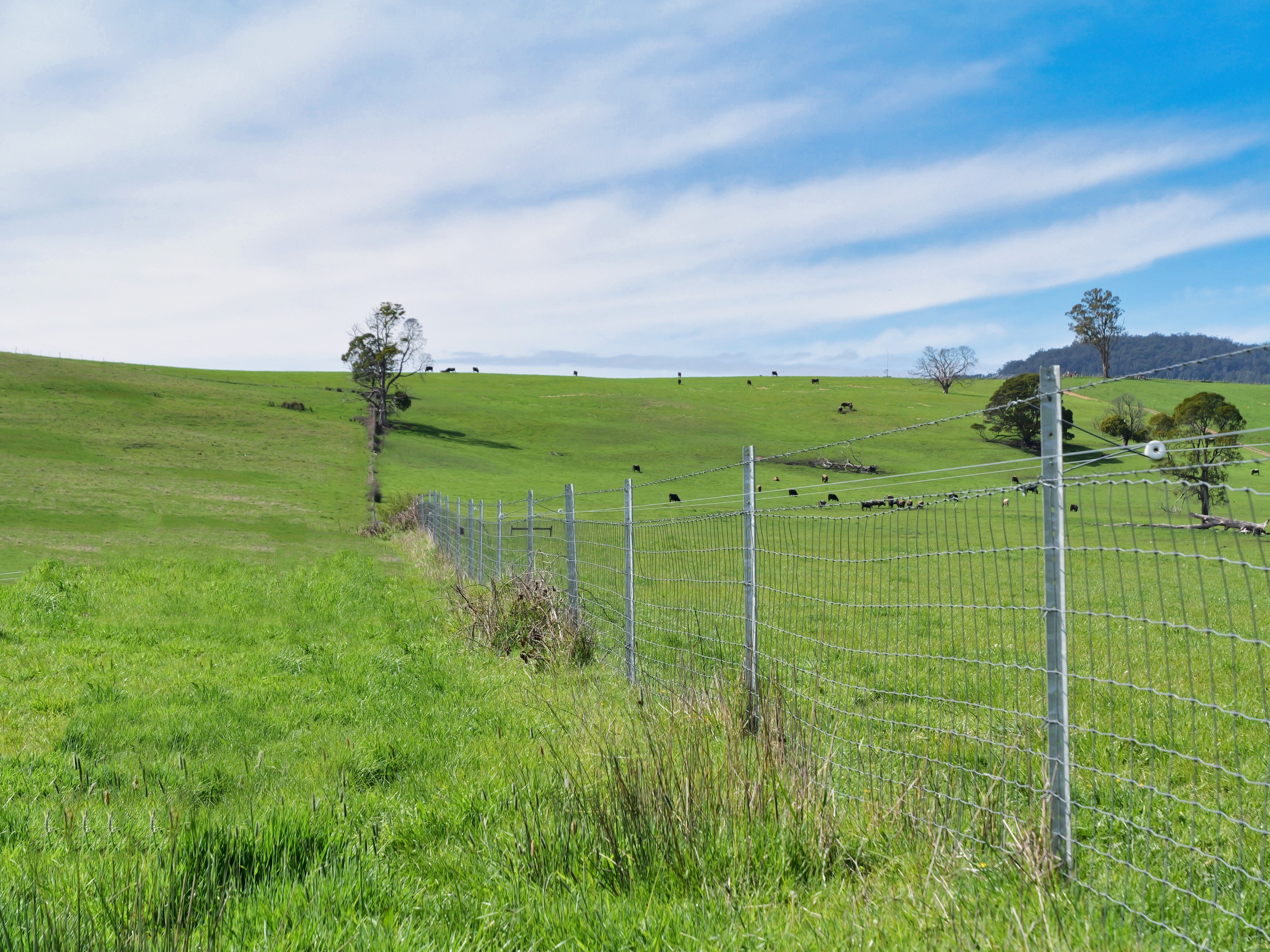 40 Davies Road, Parkham, TAS, 7304 - Image 6