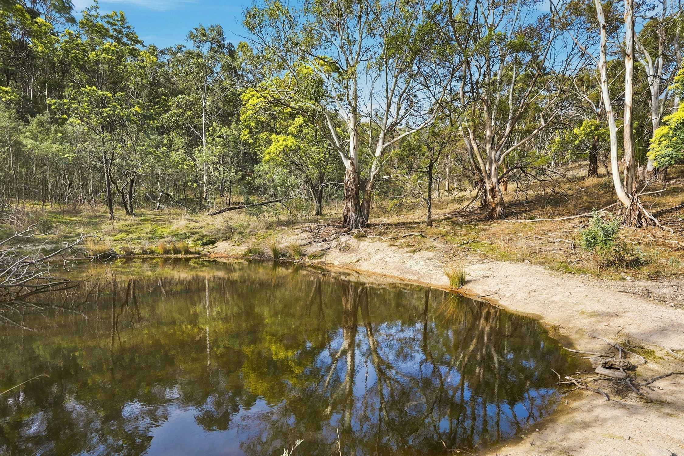 65a Scotts Road, Risdon Vale, TAS, 7016 - Image 13