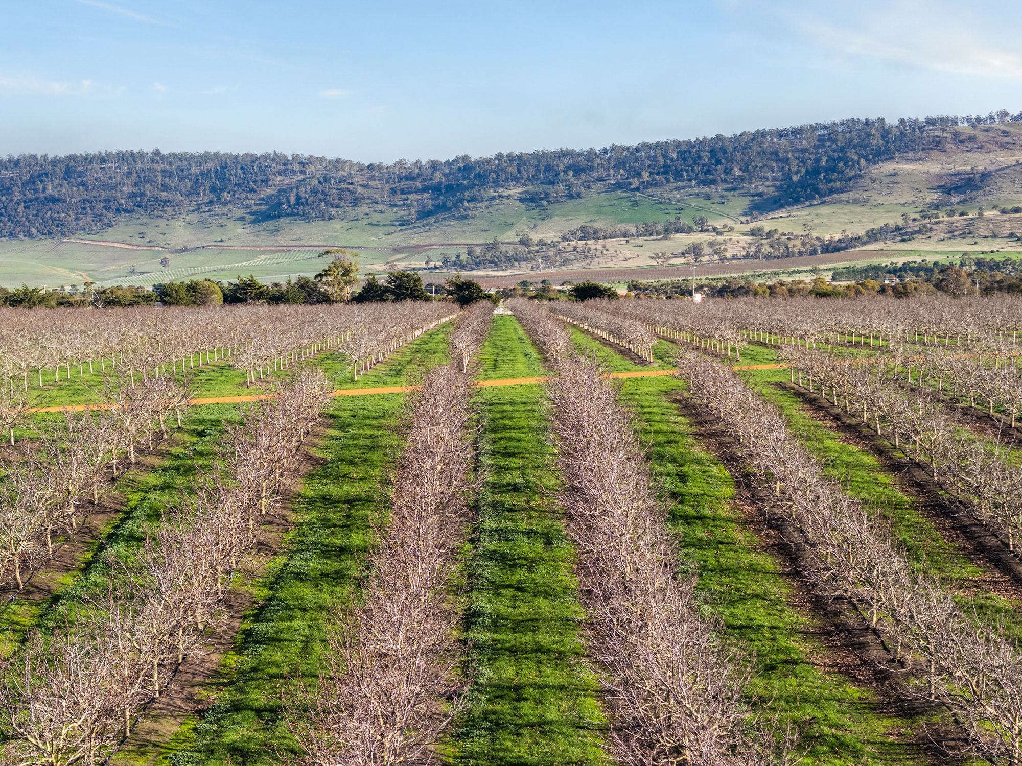 596 Colebrook Road, Campania, TAS, 7026 - Image 19