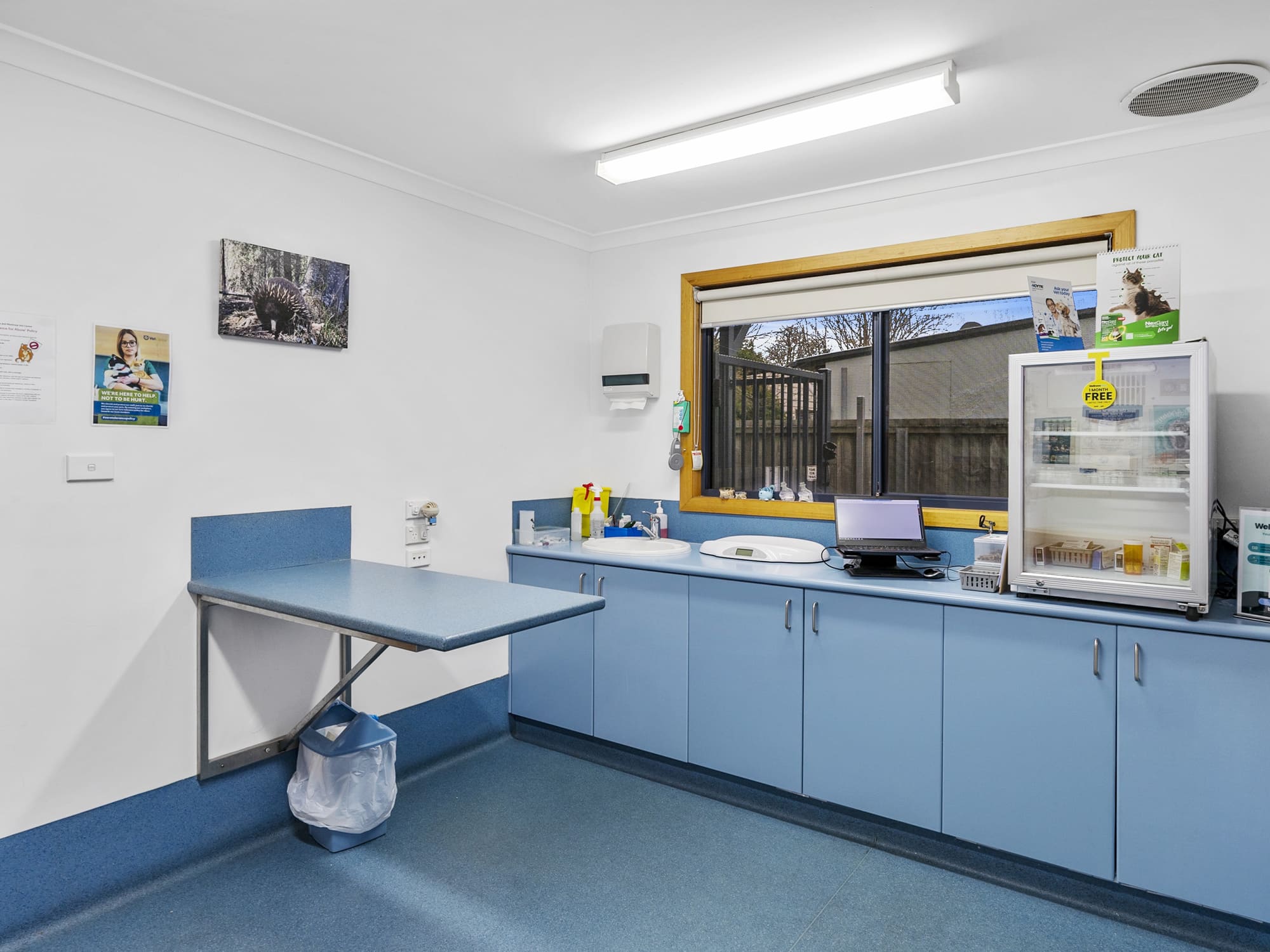 488 Main Road, Montrose, TAS, 7010 - Image 20