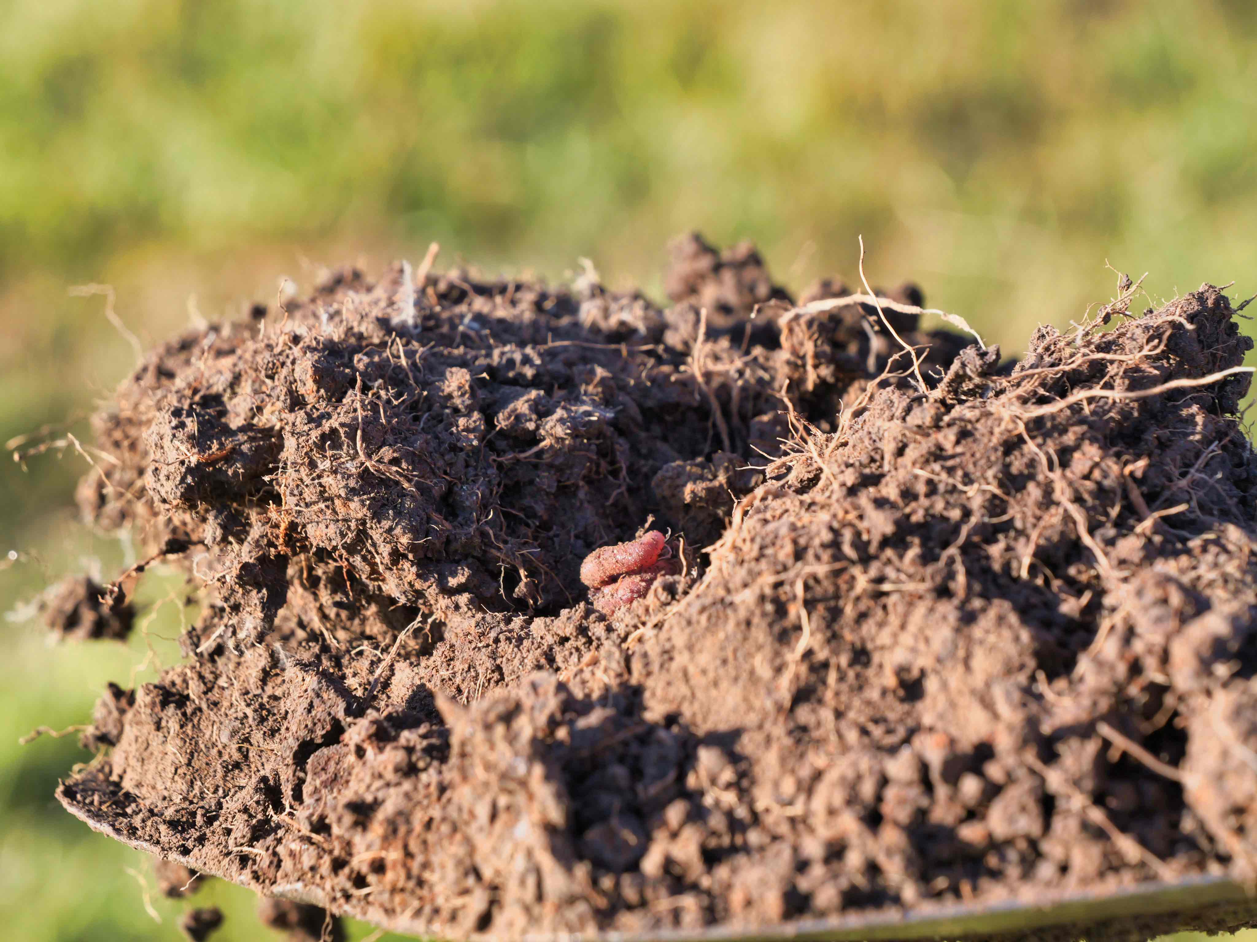 304 Porters Bridge, Exton, TAS, 7303 - Image 11