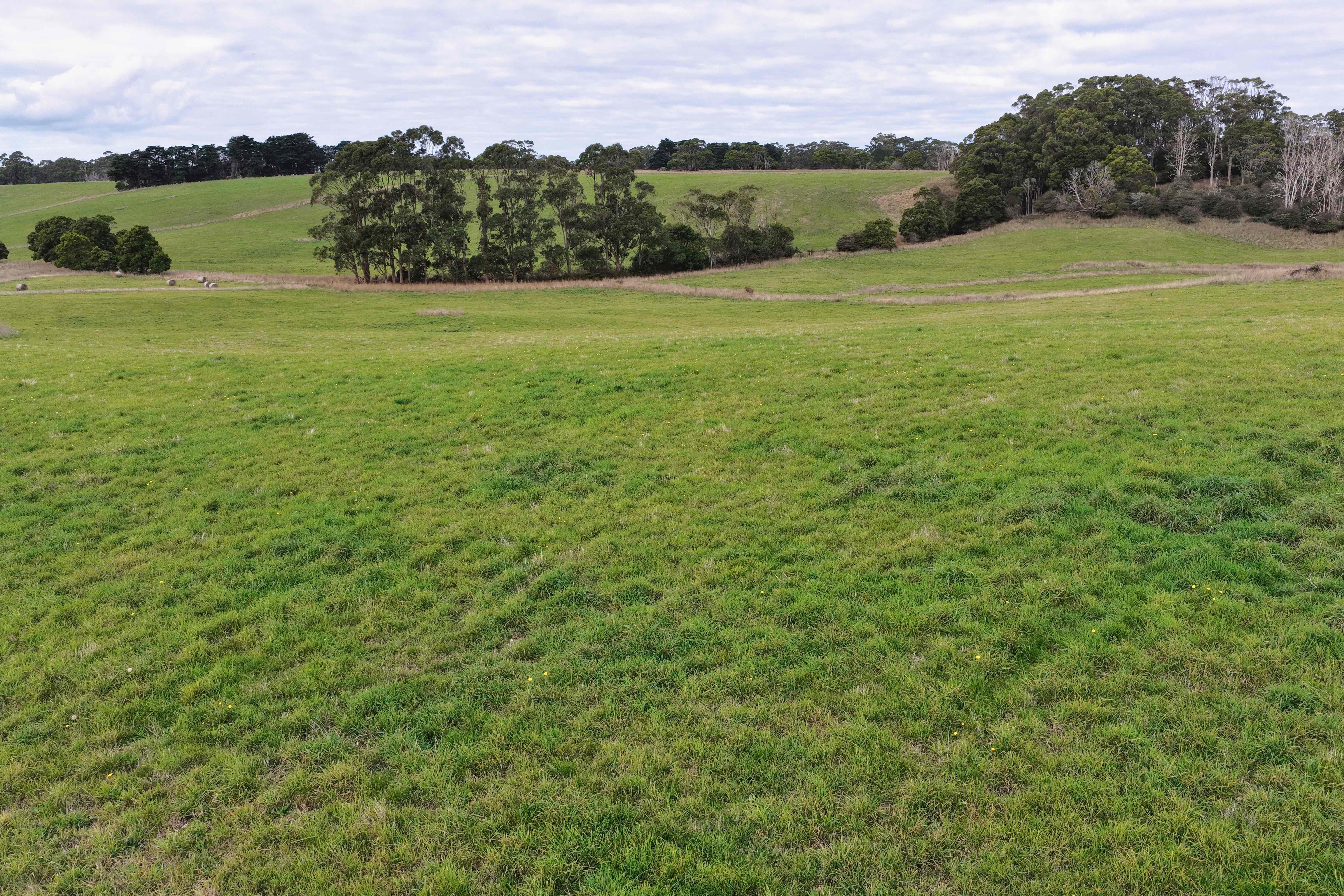 699 Mengha Road, Forest, TAS, 7330 - Image 2