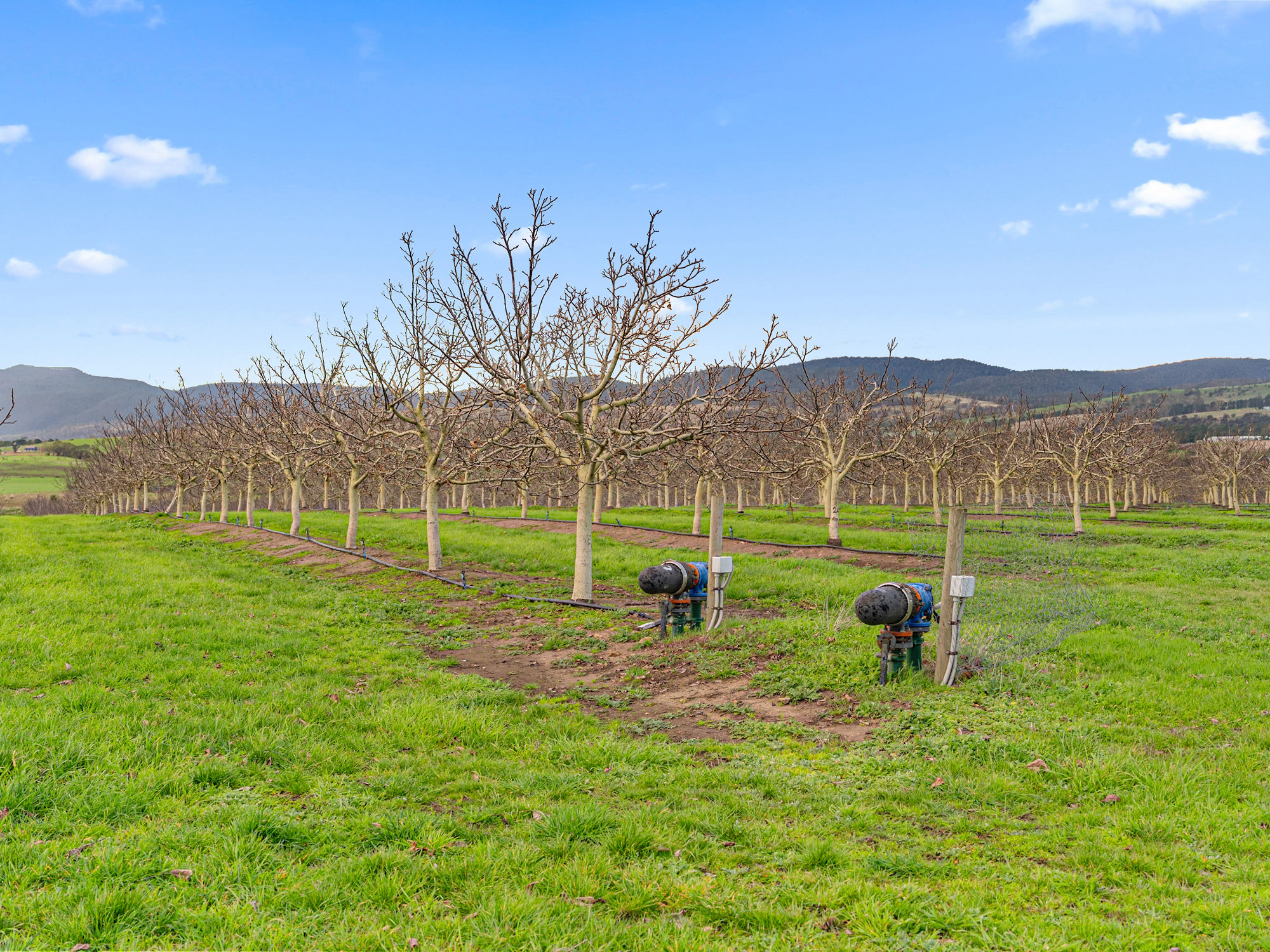 596 Colebrook Road, Campania, TAS, 7026 - Image 21