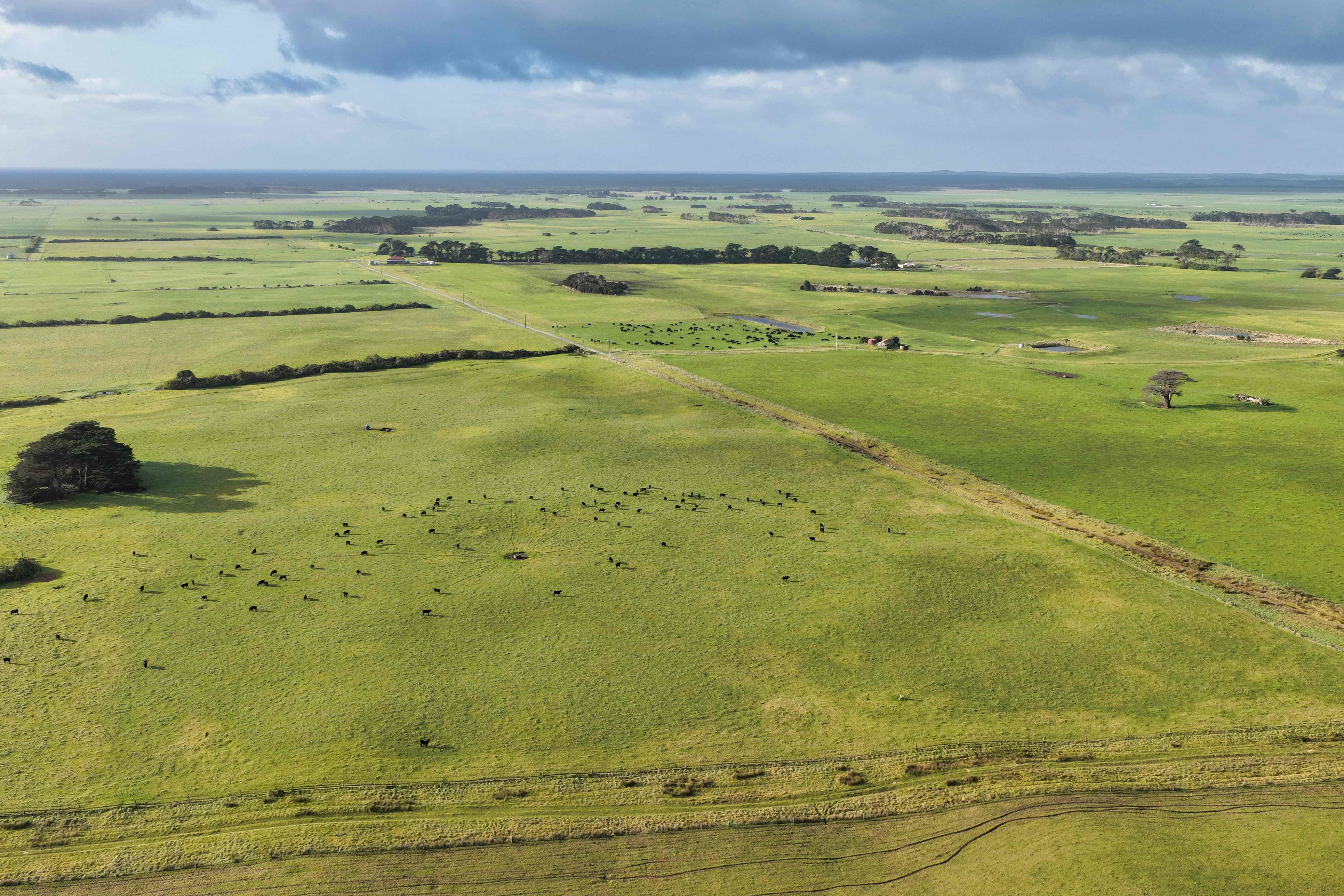 218 Mansons Road, Egg Lagoon For Sale by Farmbuy.com - image 8