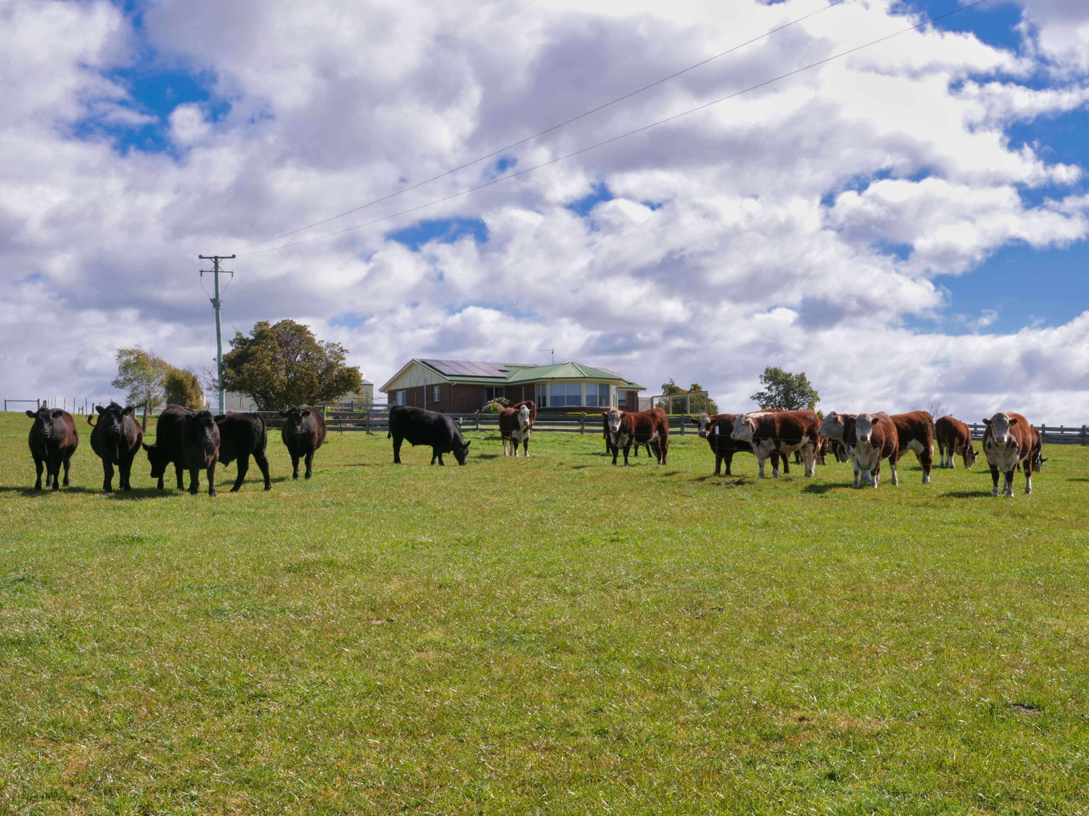 1791 Bridport Road, Bridport, TAS, 7262 - Image 9