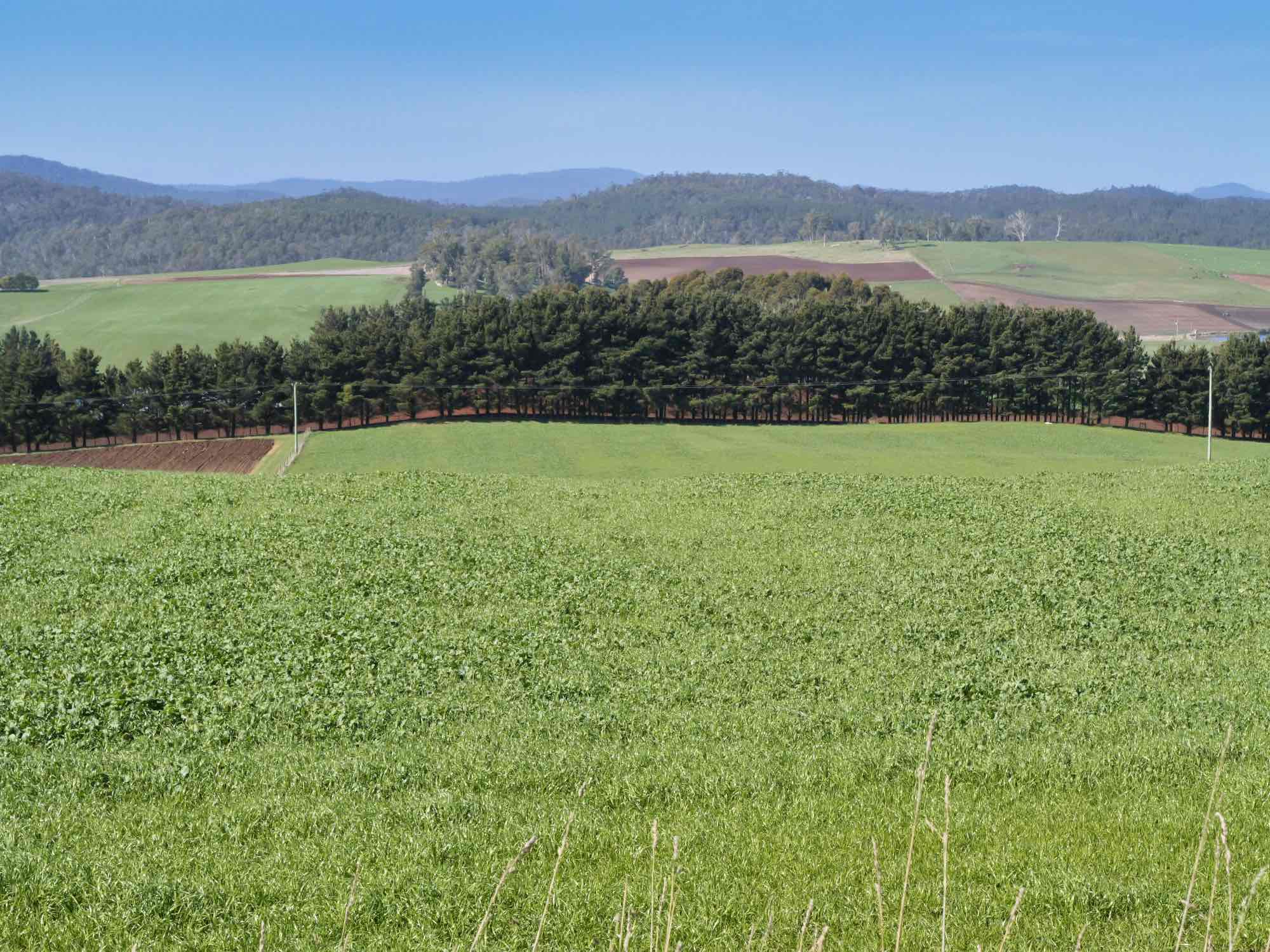 580 Chapel Road, Sassafras, TAS, 7307 - Image 7
