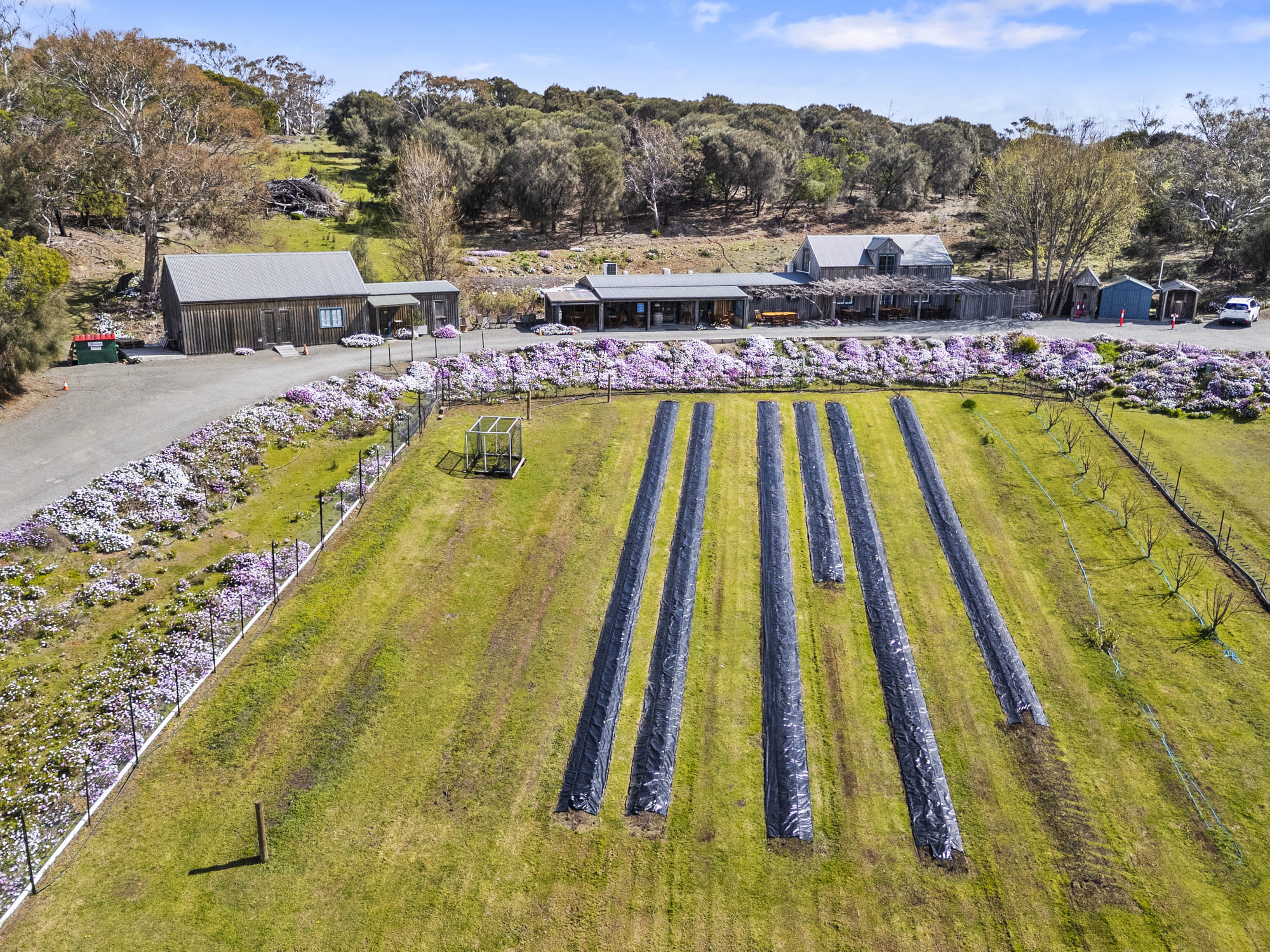 12 Addison Street, Swansea, TAS, 7190 - Image 6