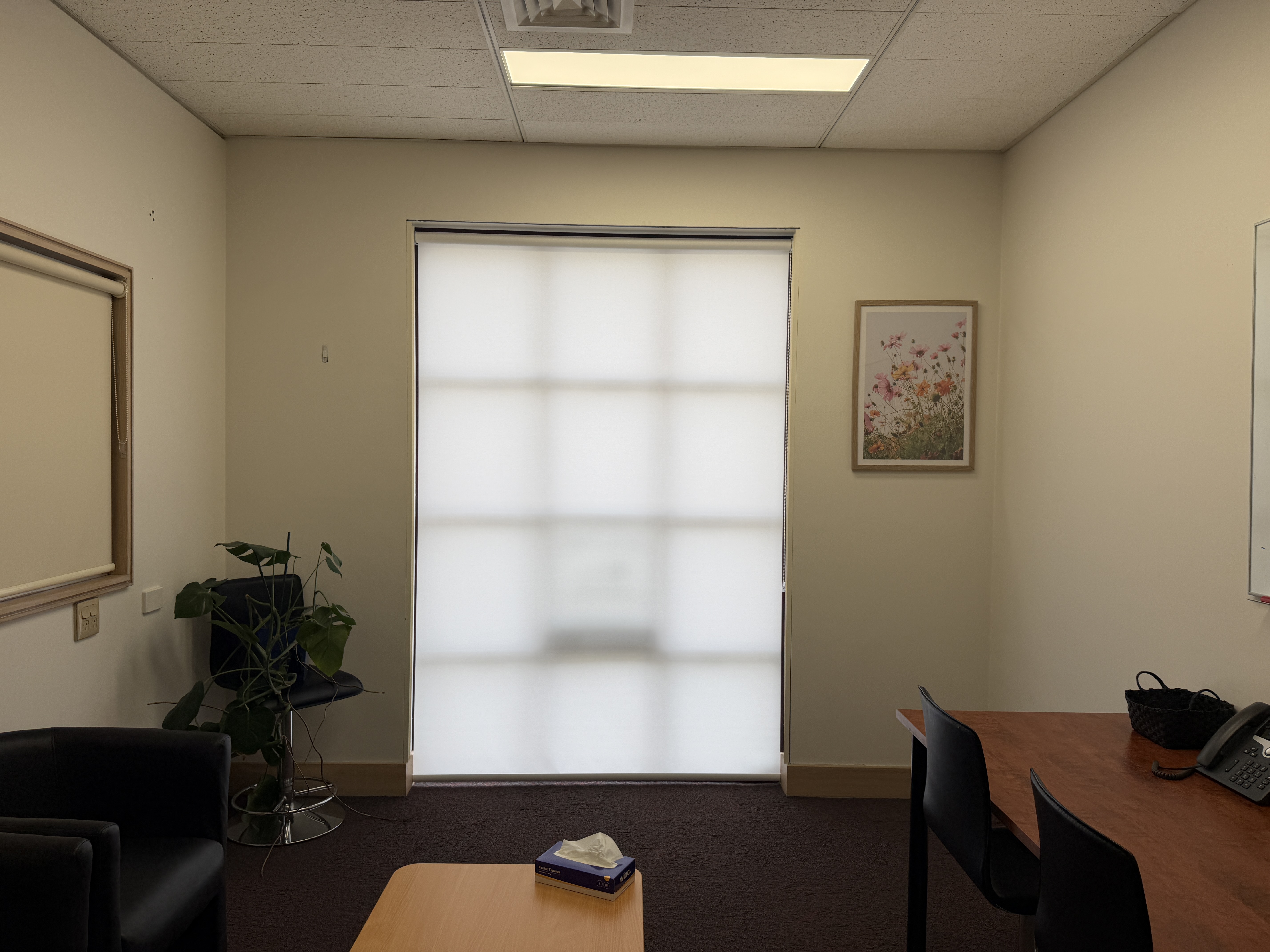 Ground  Tenancy 2/46 Cameron Street, Launceston, TAS, 7250 - Image 3