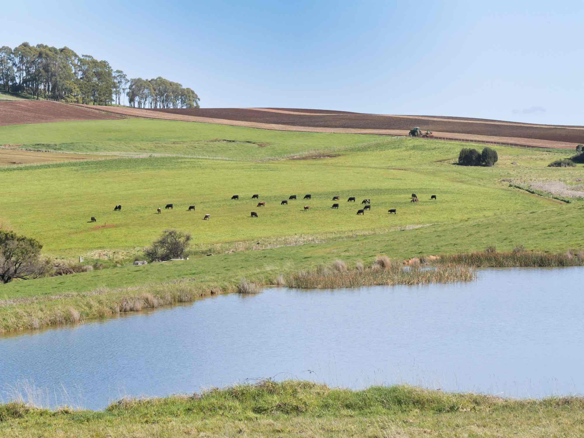 580 Chapel Road, Sassafras, TAS, 7307 - Image 6