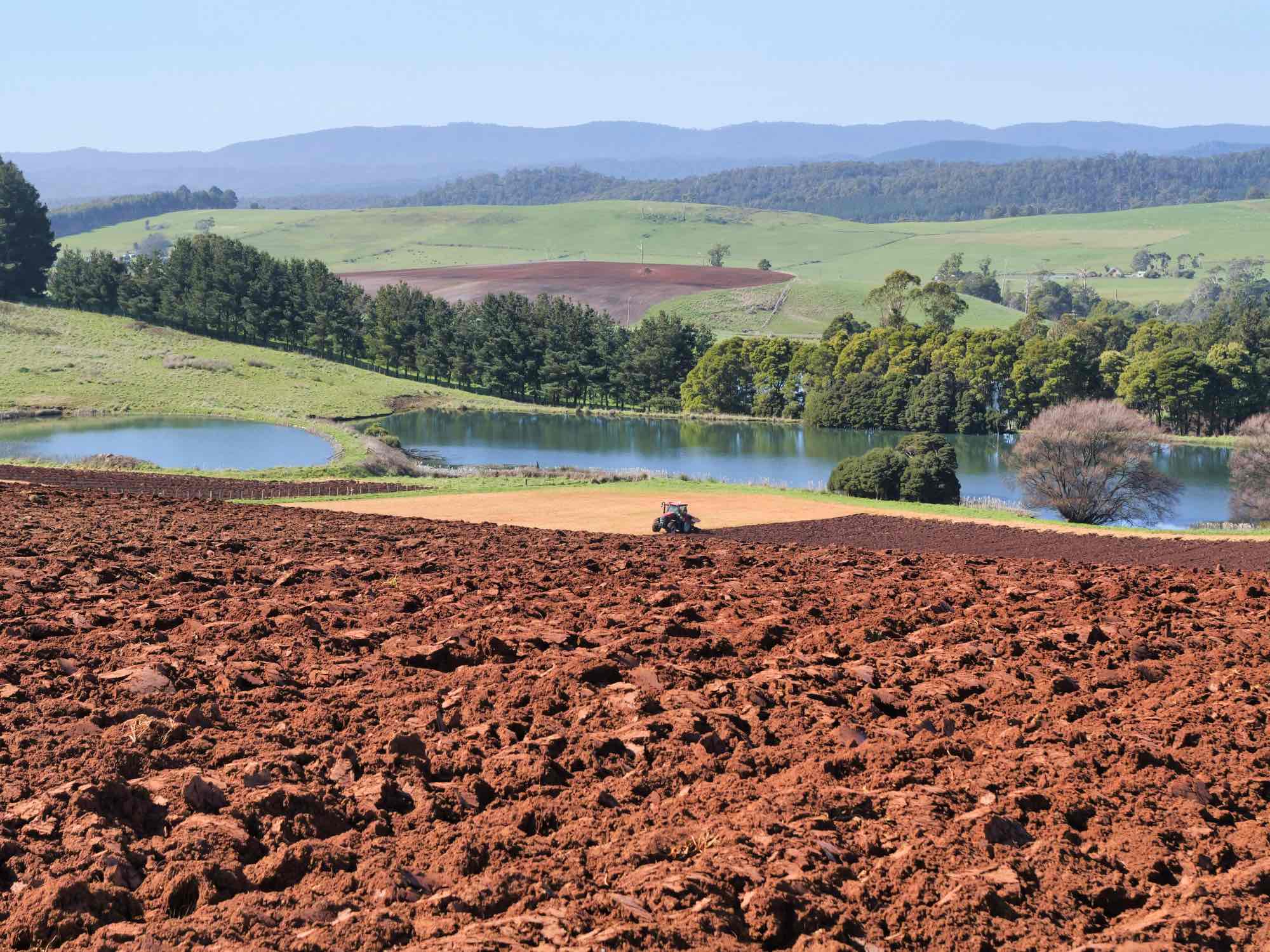 580 Chapel Road, Sassafras, TAS, 7307 - Image 5