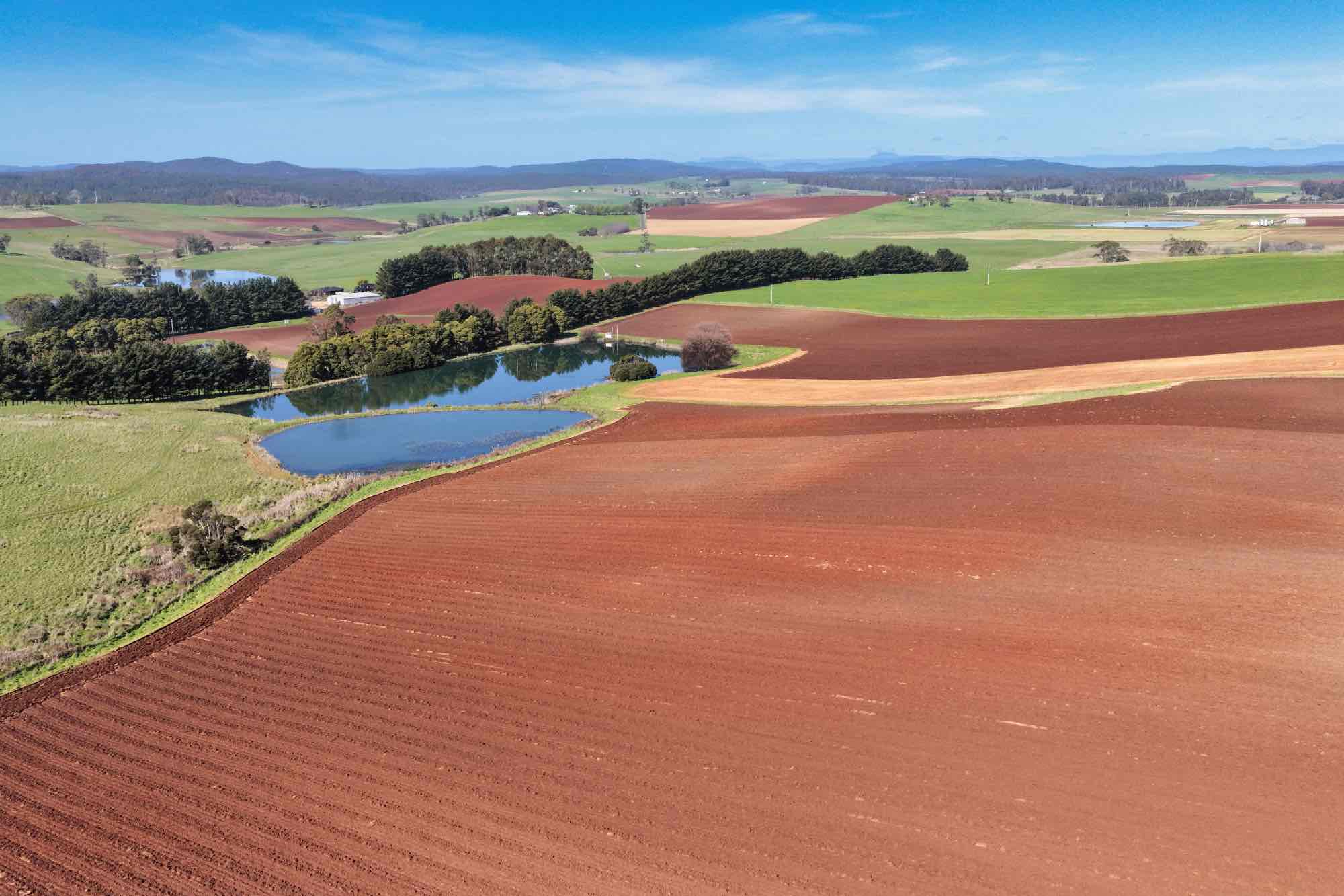 580 Chapel Road, Sassafras, TAS, 7307 - Image 8